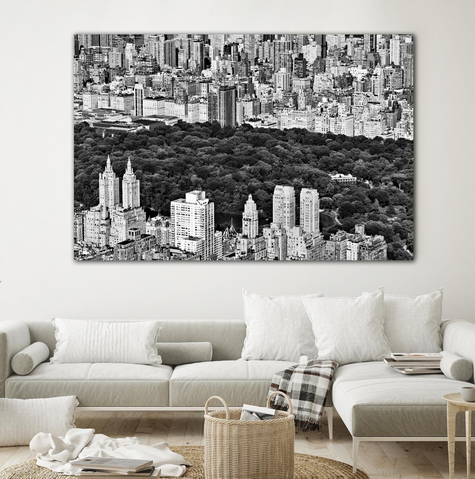 NYC Central Park by Daniel Stein on GIANT ART - white city scene