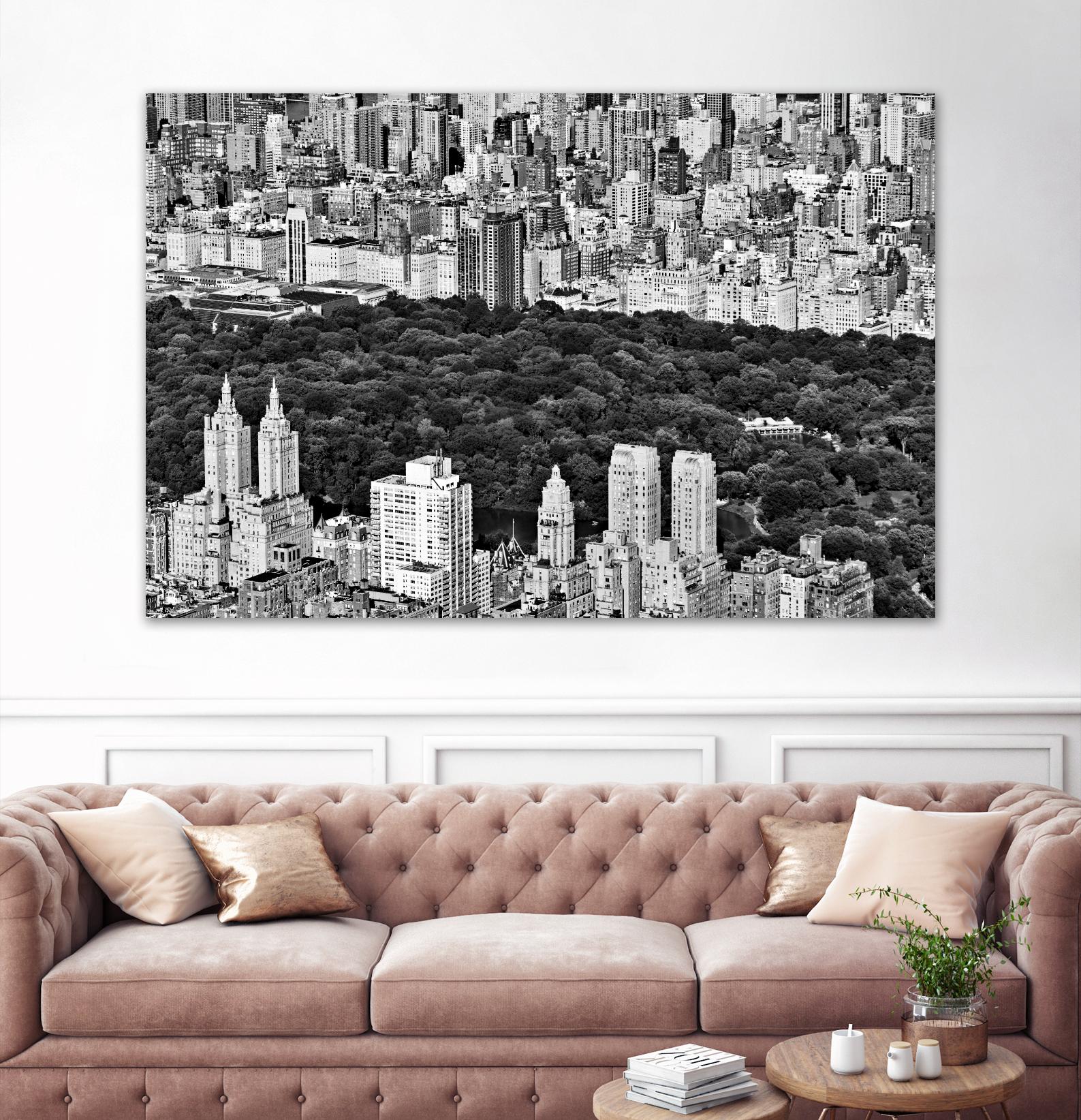 NYC Central Park by Daniel Stein on GIANT ART - white city scene