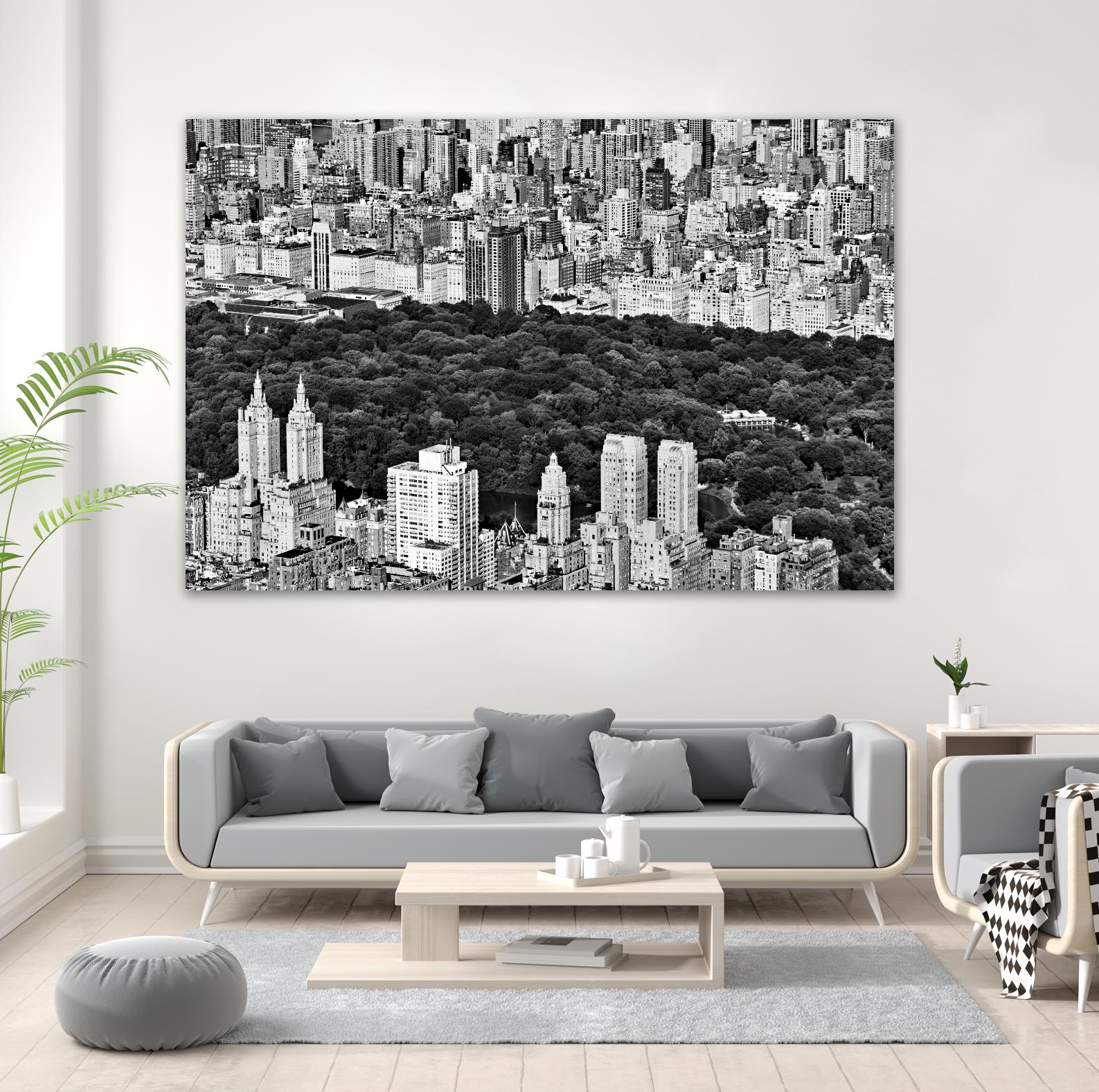 NYC Central Park by Daniel Stein on GIANT ART - white city scene