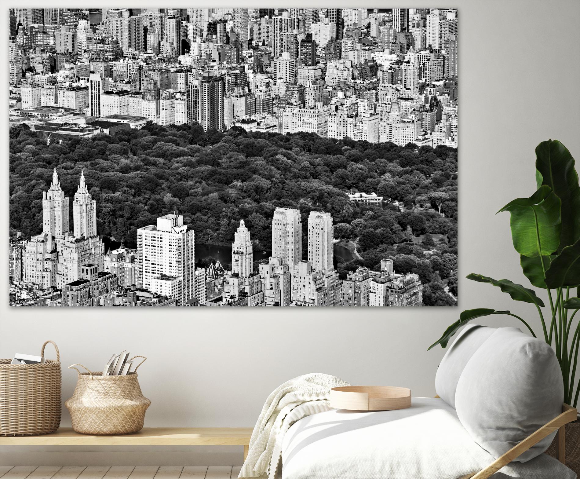 NYC Central Park by Daniel Stein on GIANT ART - white city scene