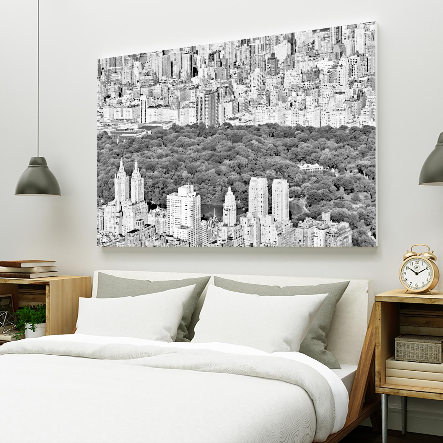 NYC Central Park by Daniel Stein on GIANT ART - white city scene