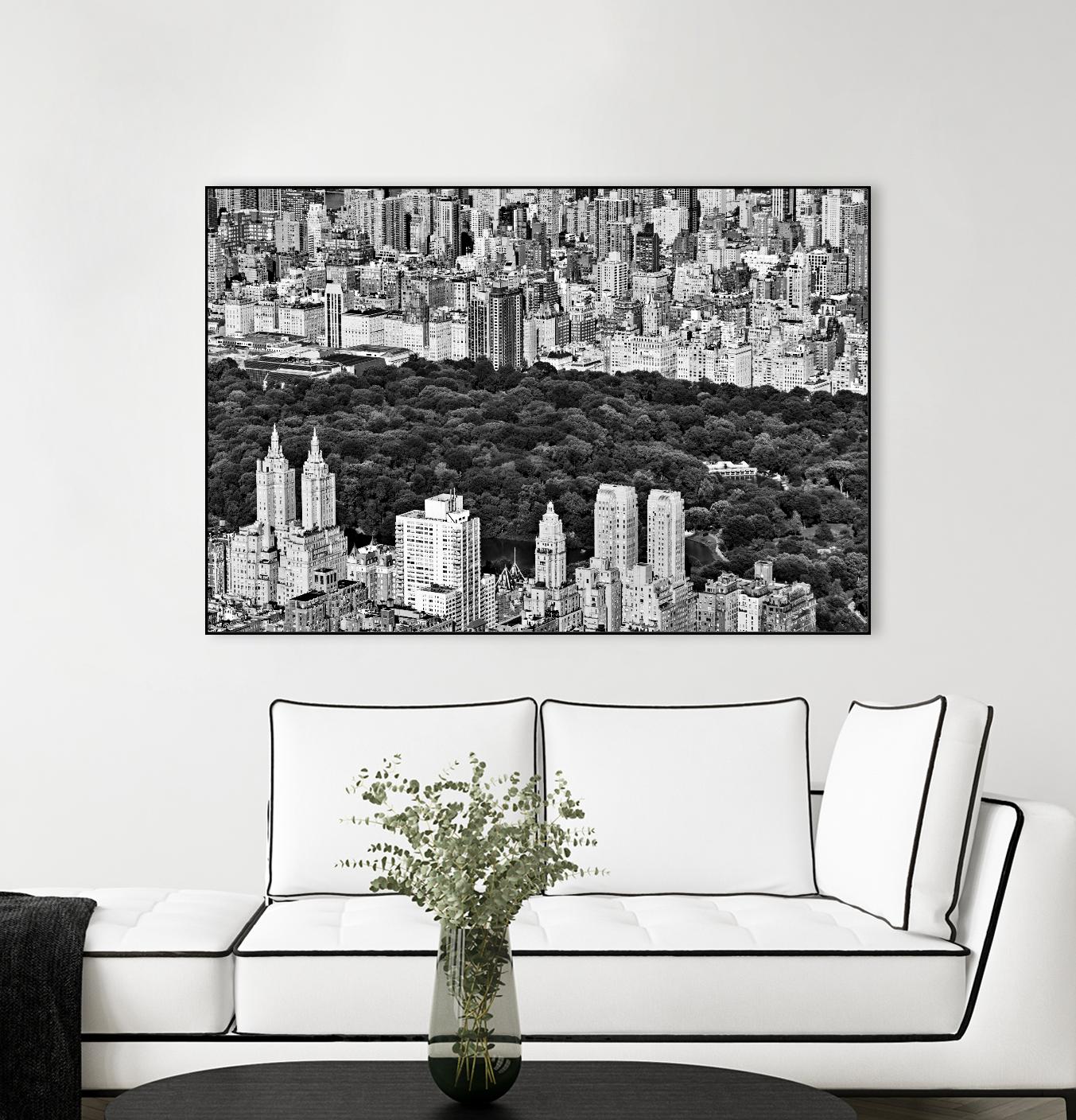 NYC Central Park by Daniel Stein on GIANT ART - white city scene