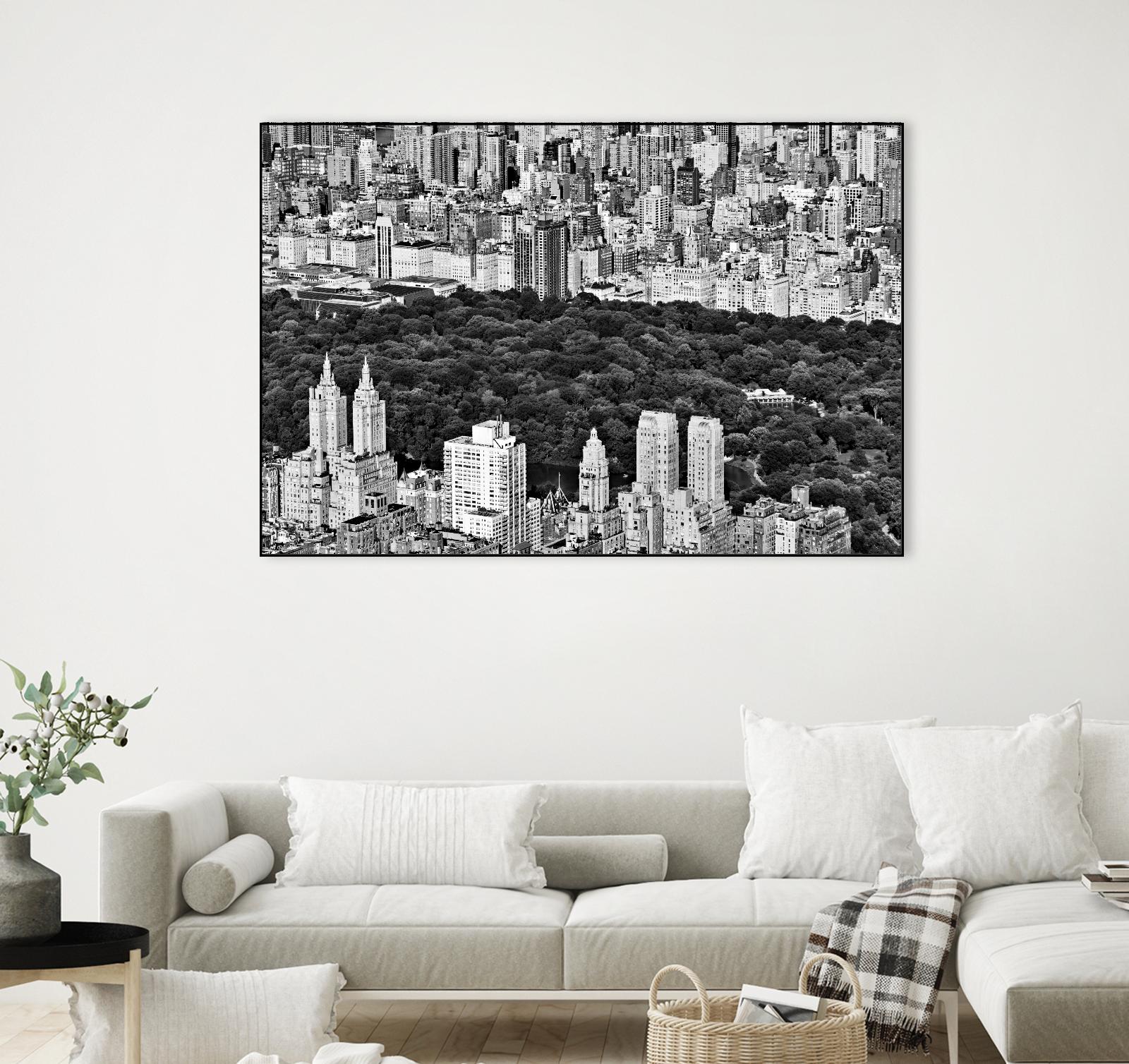 NYC Central Park by Daniel Stein on GIANT ART - white city scene