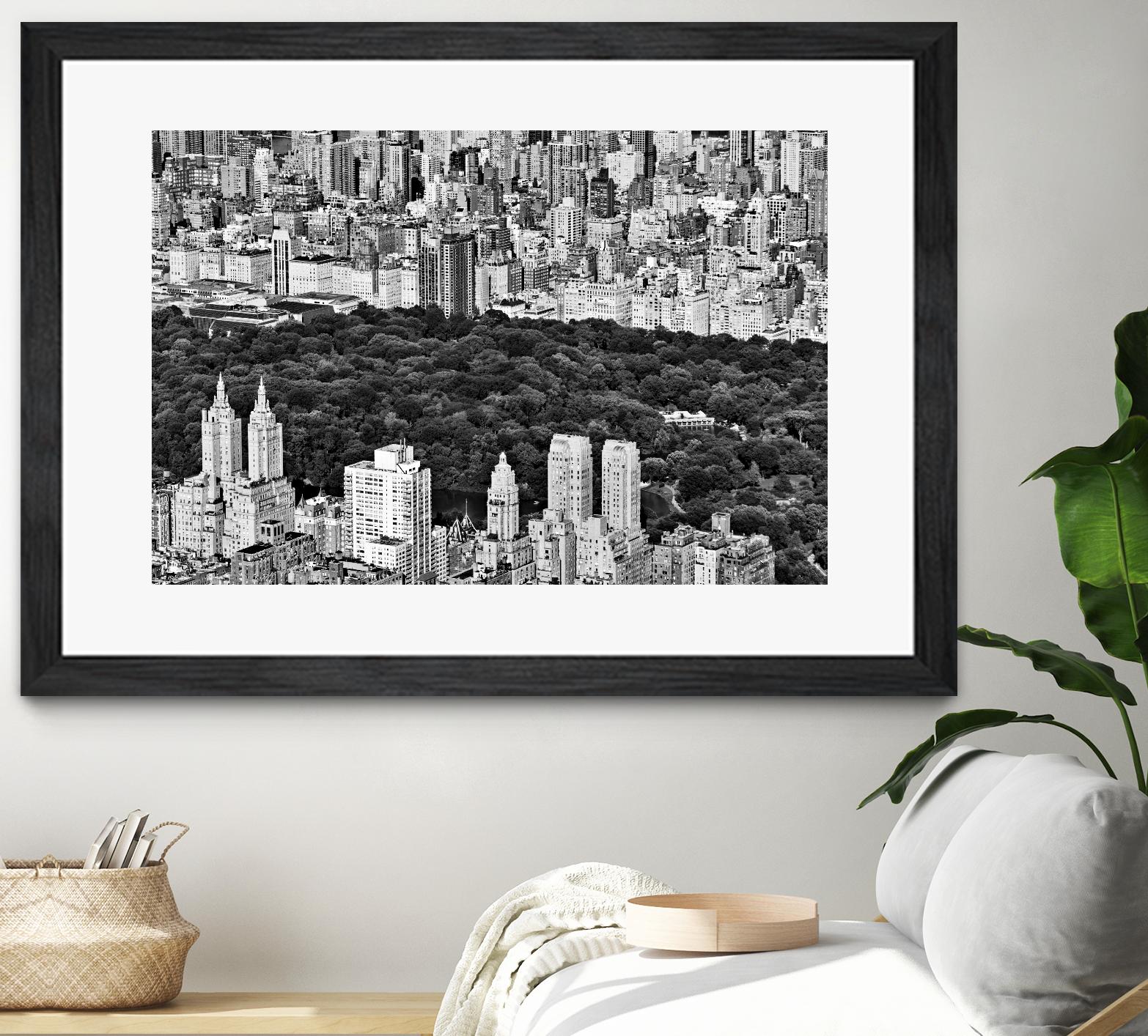 NYC Central Park by Daniel Stein on GIANT ART - white city scene