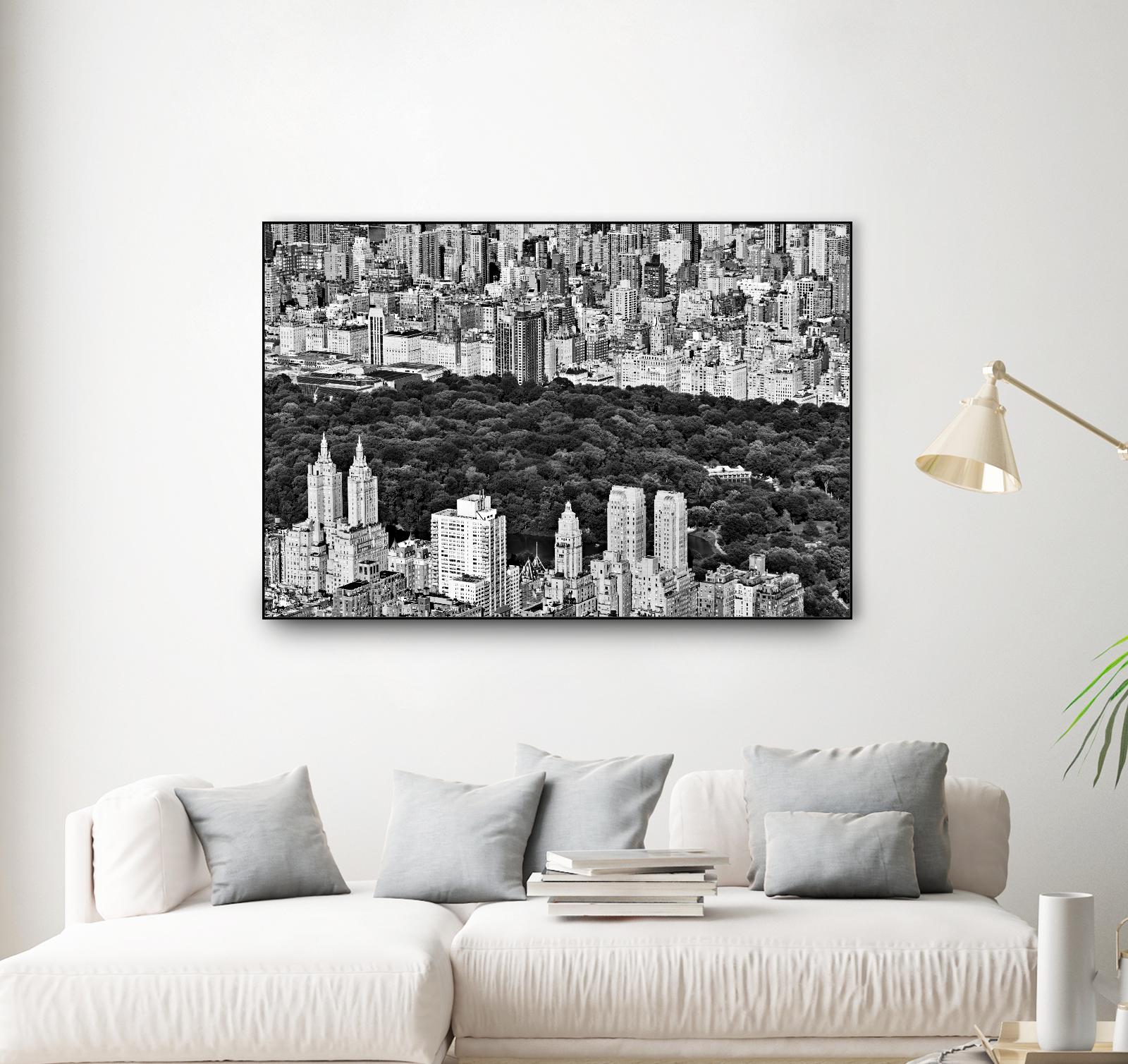 NYC Central Park by Daniel Stein on GIANT ART - white city scene