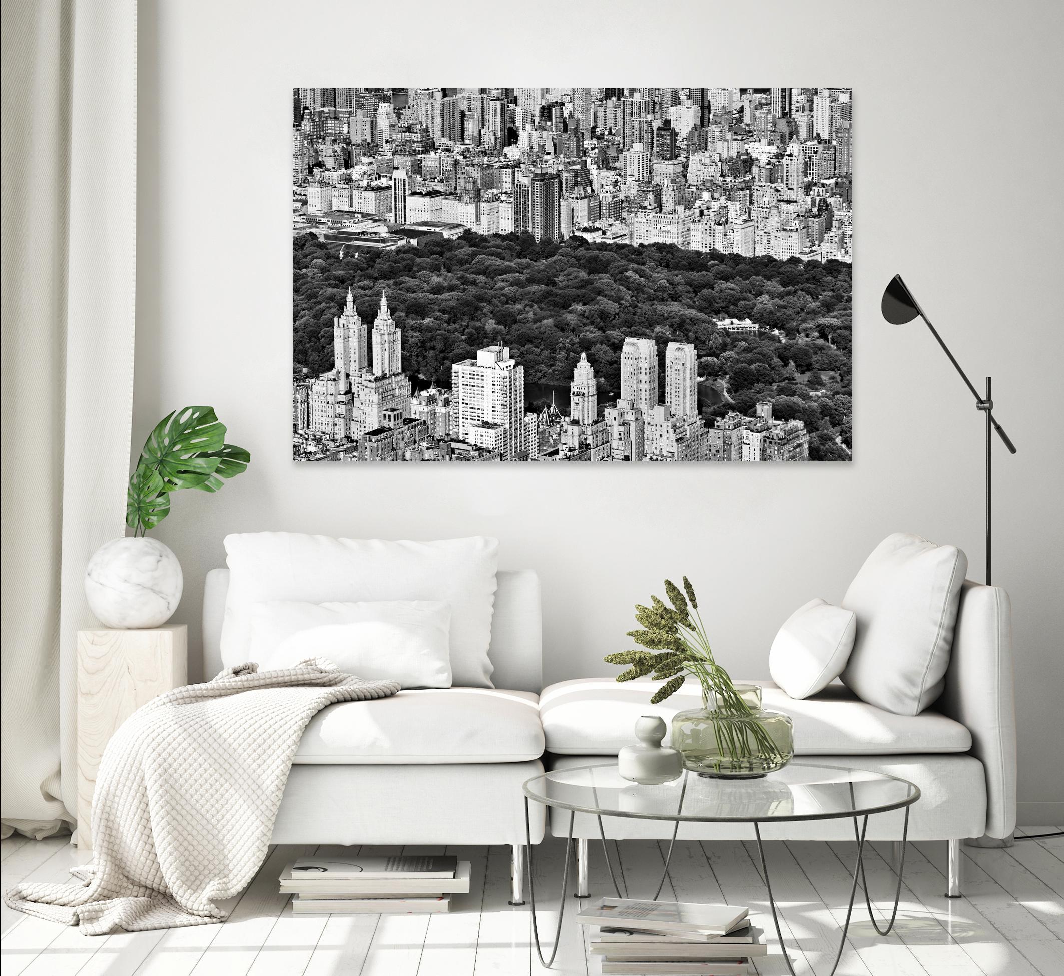 NYC Central Park by Daniel Stein on GIANT ART - white city scene