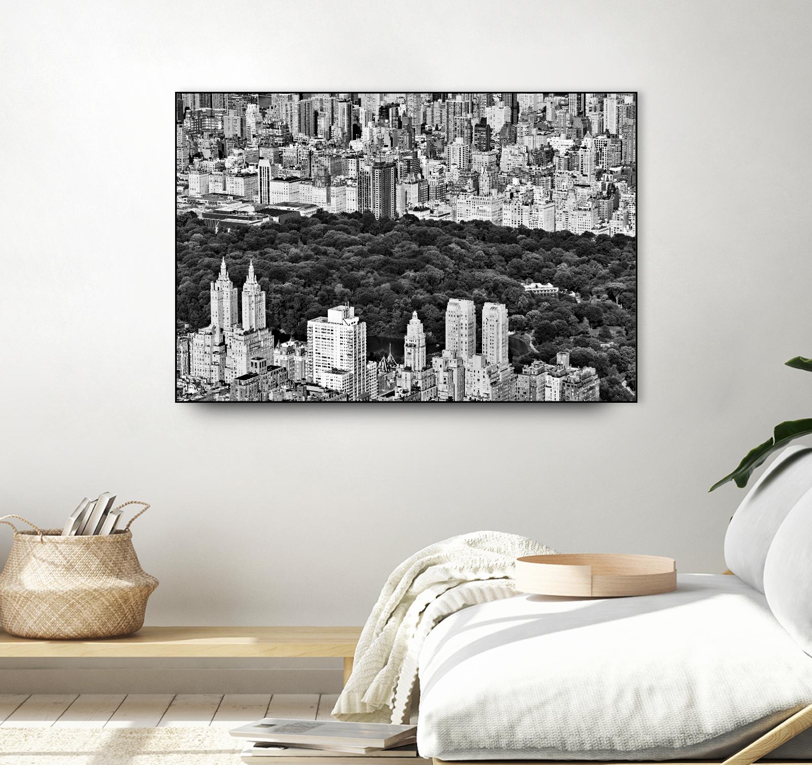 NYC Central Park by Daniel Stein on GIANT ART - white city scene