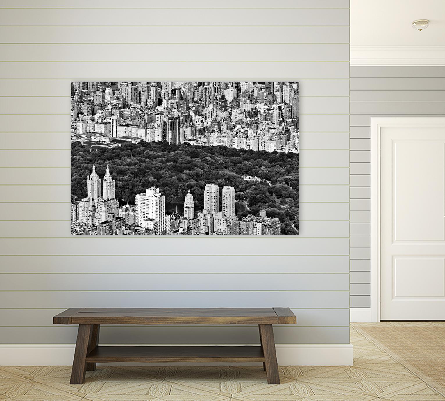 NYC Central Park by Daniel Stein on GIANT ART - white city scene