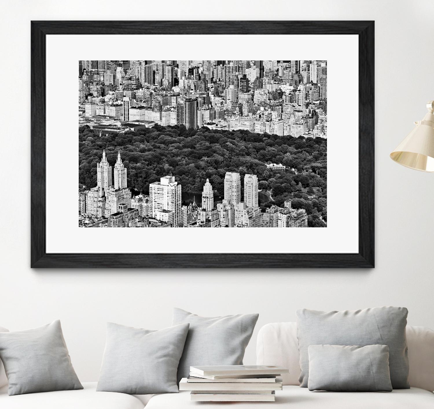 NYC Central Park by Daniel Stein on GIANT ART - white city scene