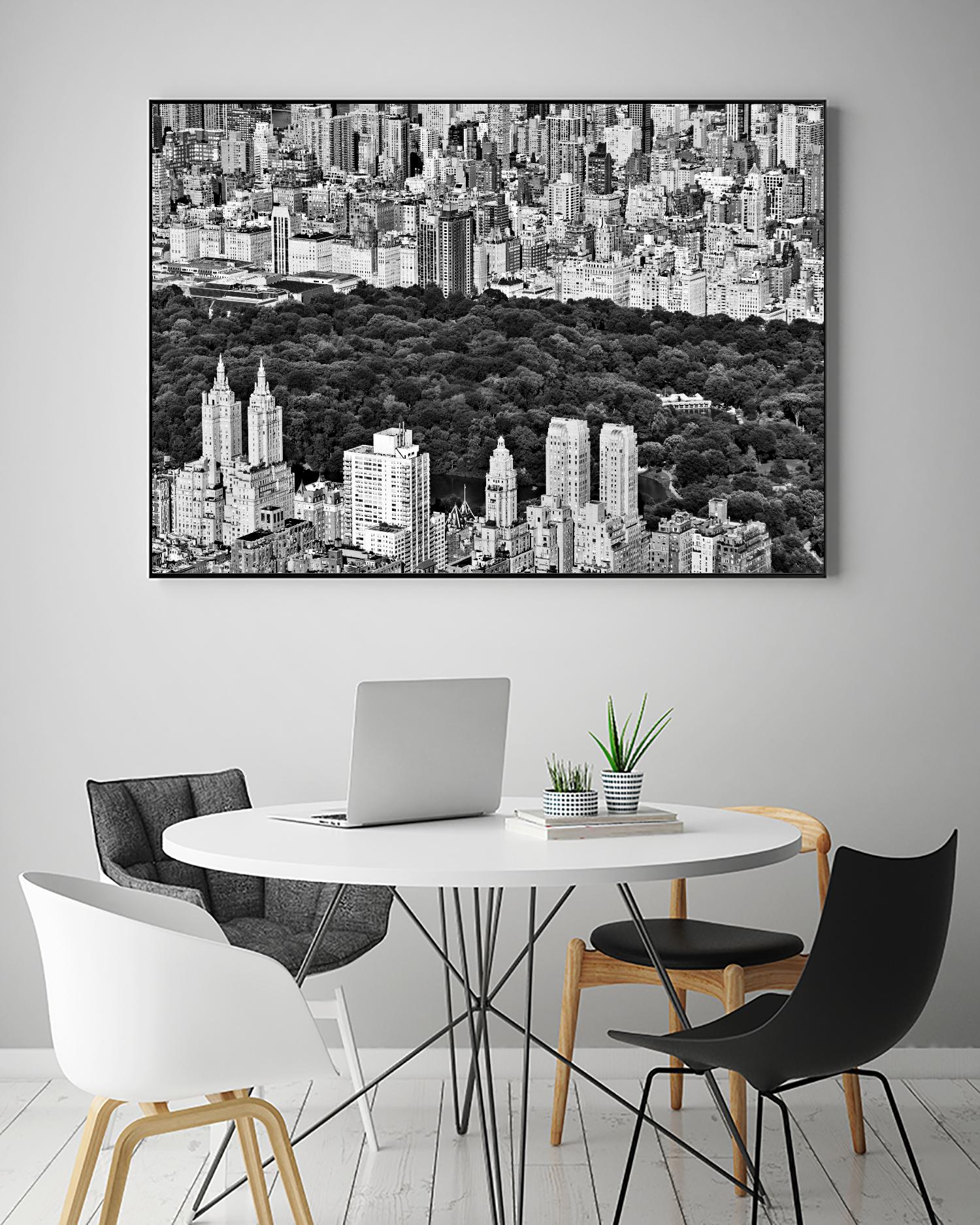 NYC Central Park by Daniel Stein on GIANT ART - white city scene