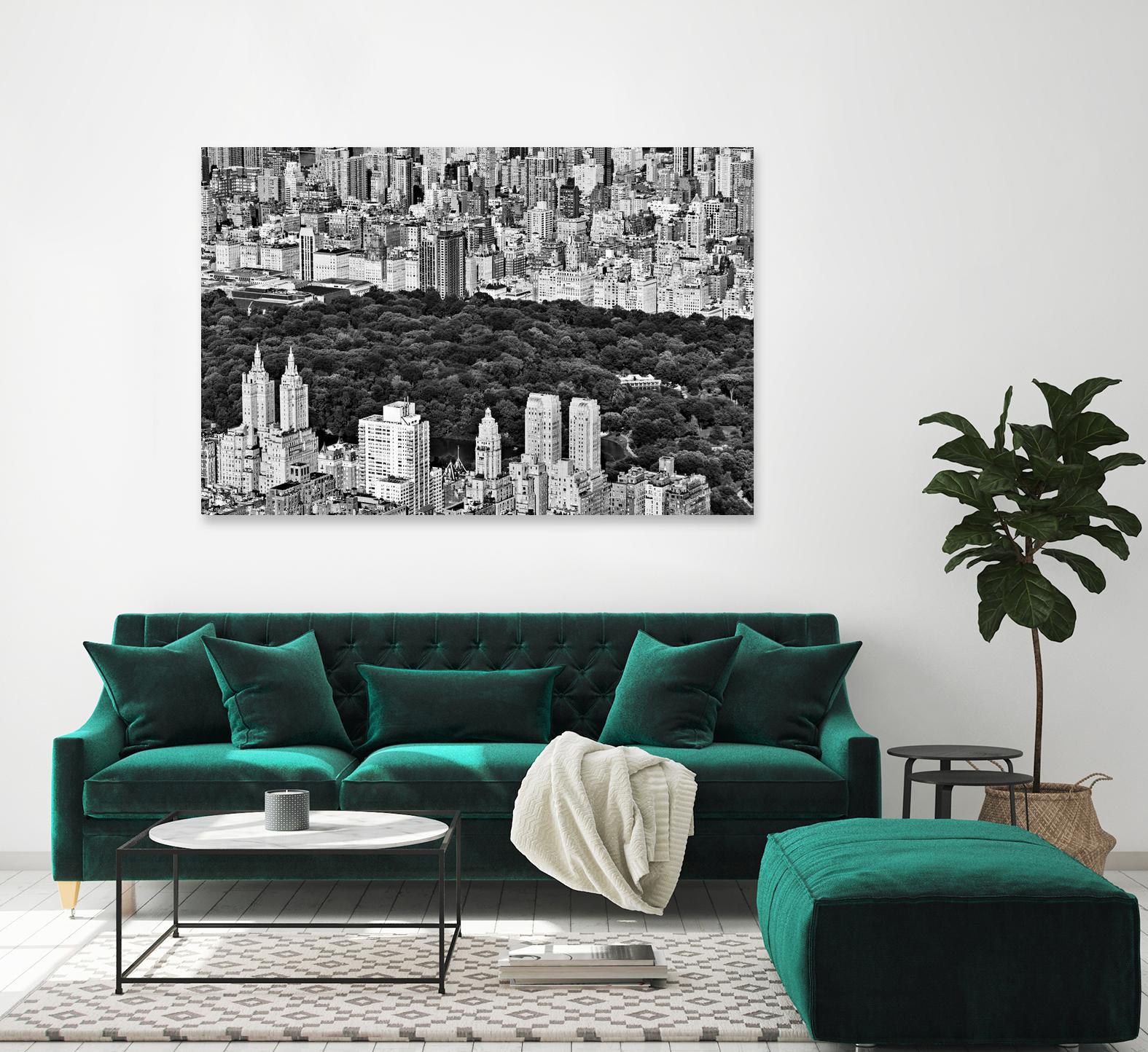 NYC Central Park by Daniel Stein on GIANT ART - white city scene