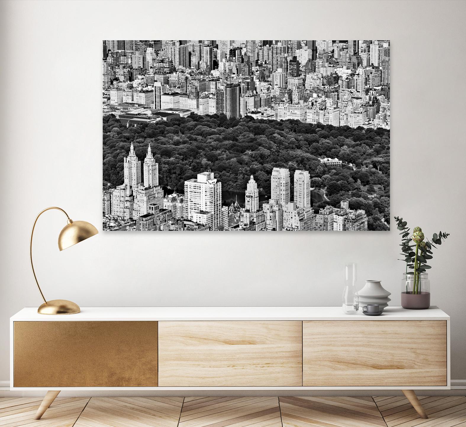 NYC Central Park by Daniel Stein on GIANT ART - white city scene