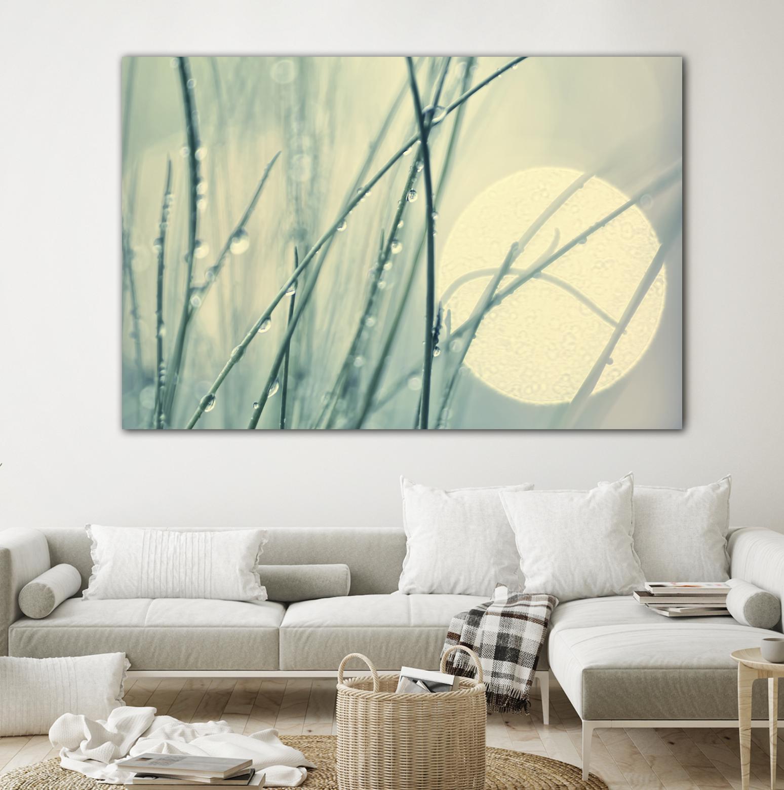 Morning Blues by Ingrid Beddoes on GIANT ART - beige photo art