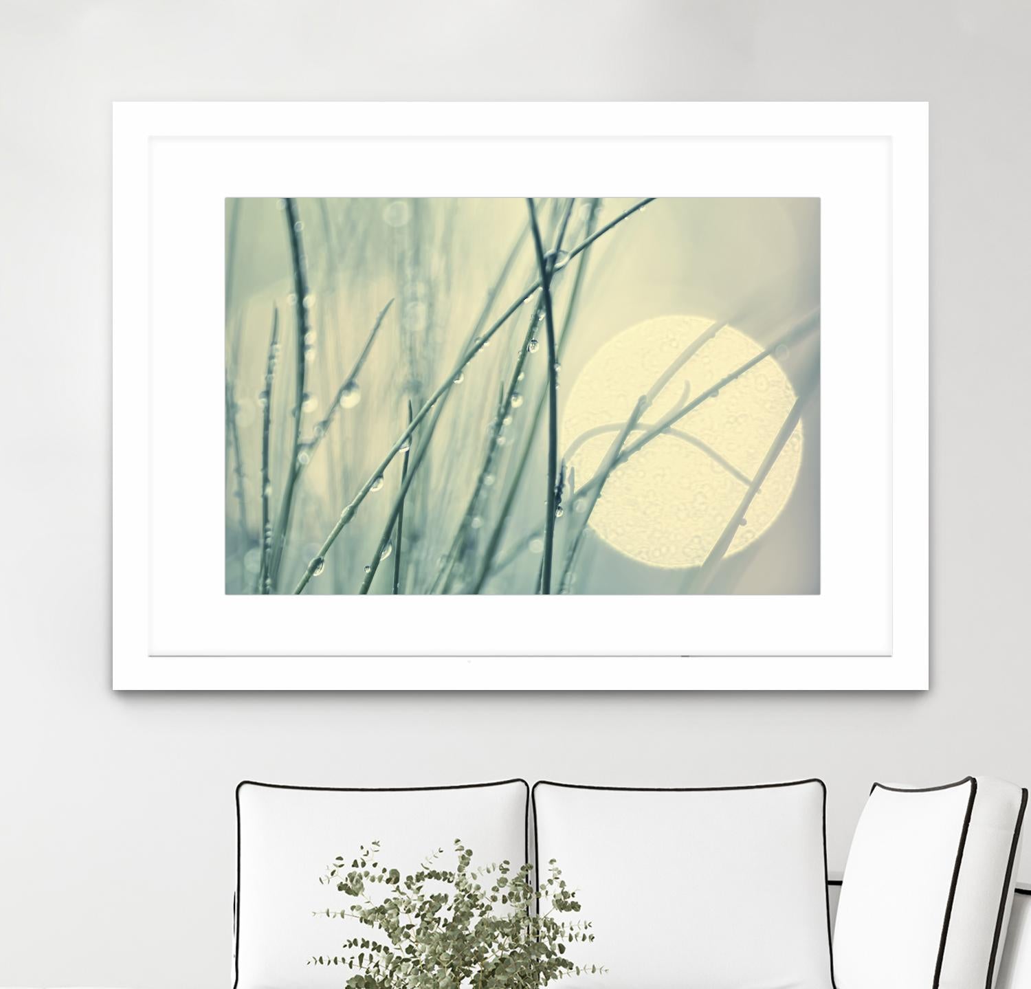 Morning Blues by Ingrid Beddoes on GIANT ART - beige photo art