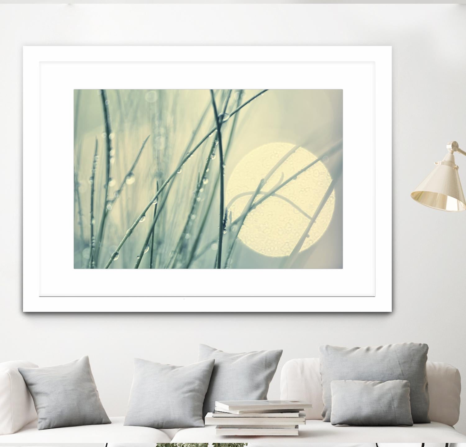 Morning Blues by Ingrid Beddoes on GIANT ART - beige photo art