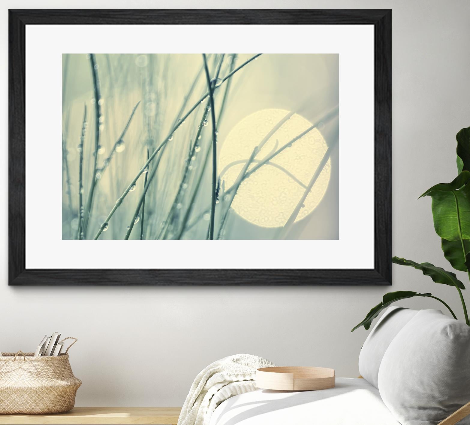 Morning Blues by Ingrid Beddoes on GIANT ART - beige photo art