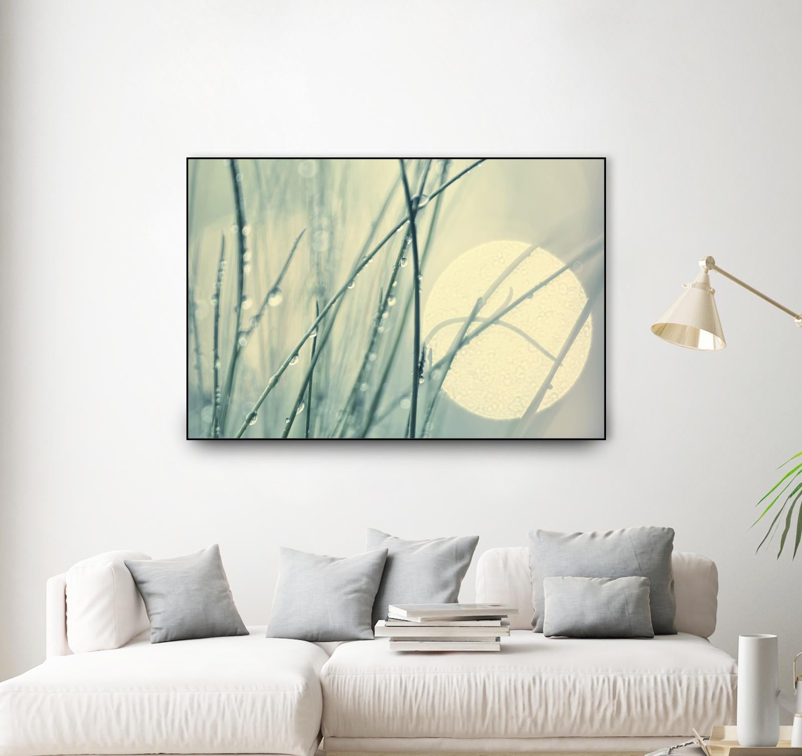 Morning Blues by Ingrid Beddoes on GIANT ART - beige photo art
