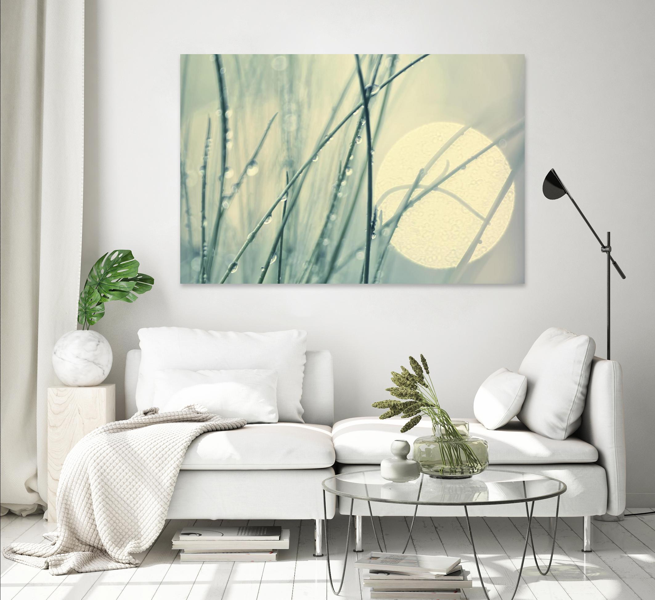 Morning Blues by Ingrid Beddoes on GIANT ART - beige photo art