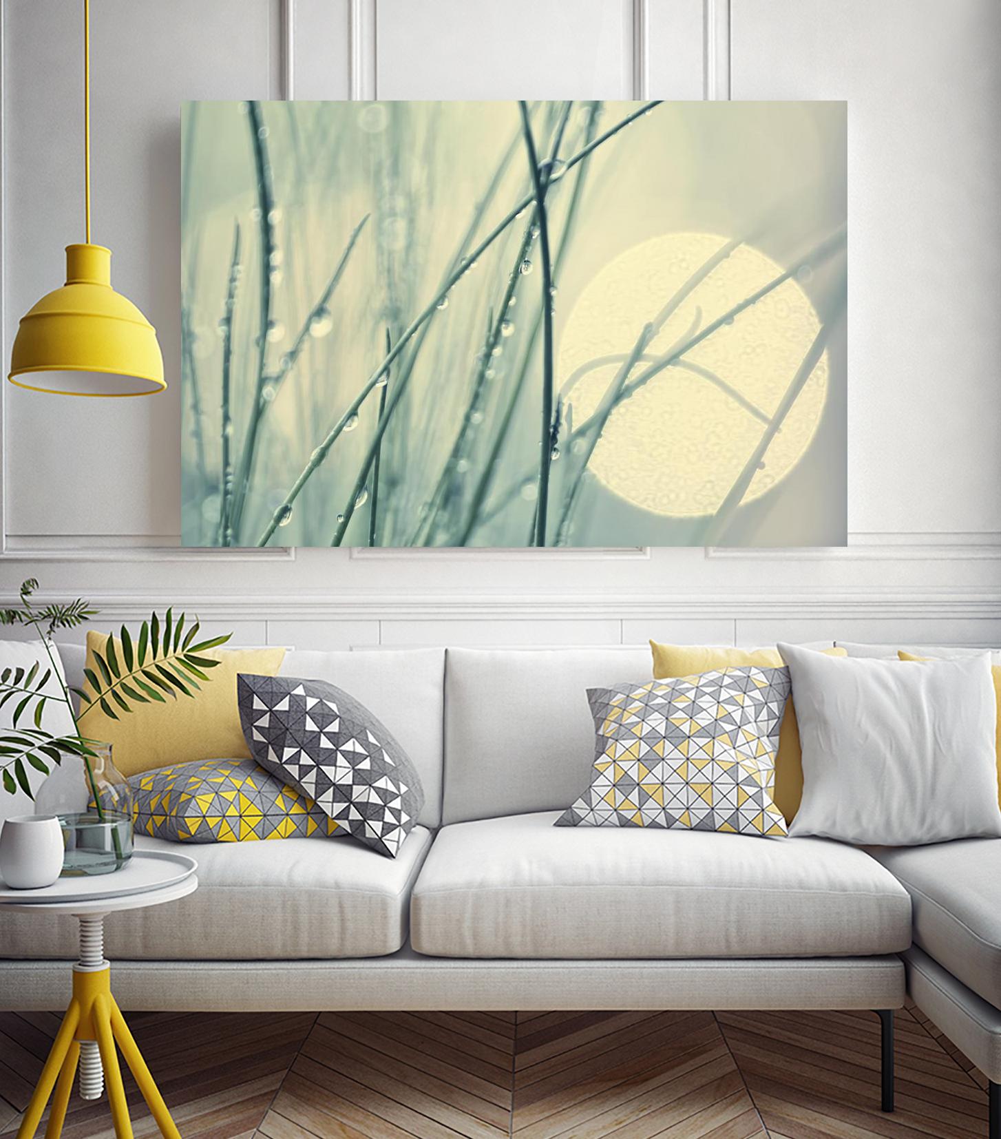 Morning Blues by Ingrid Beddoes on GIANT ART - beige photo art