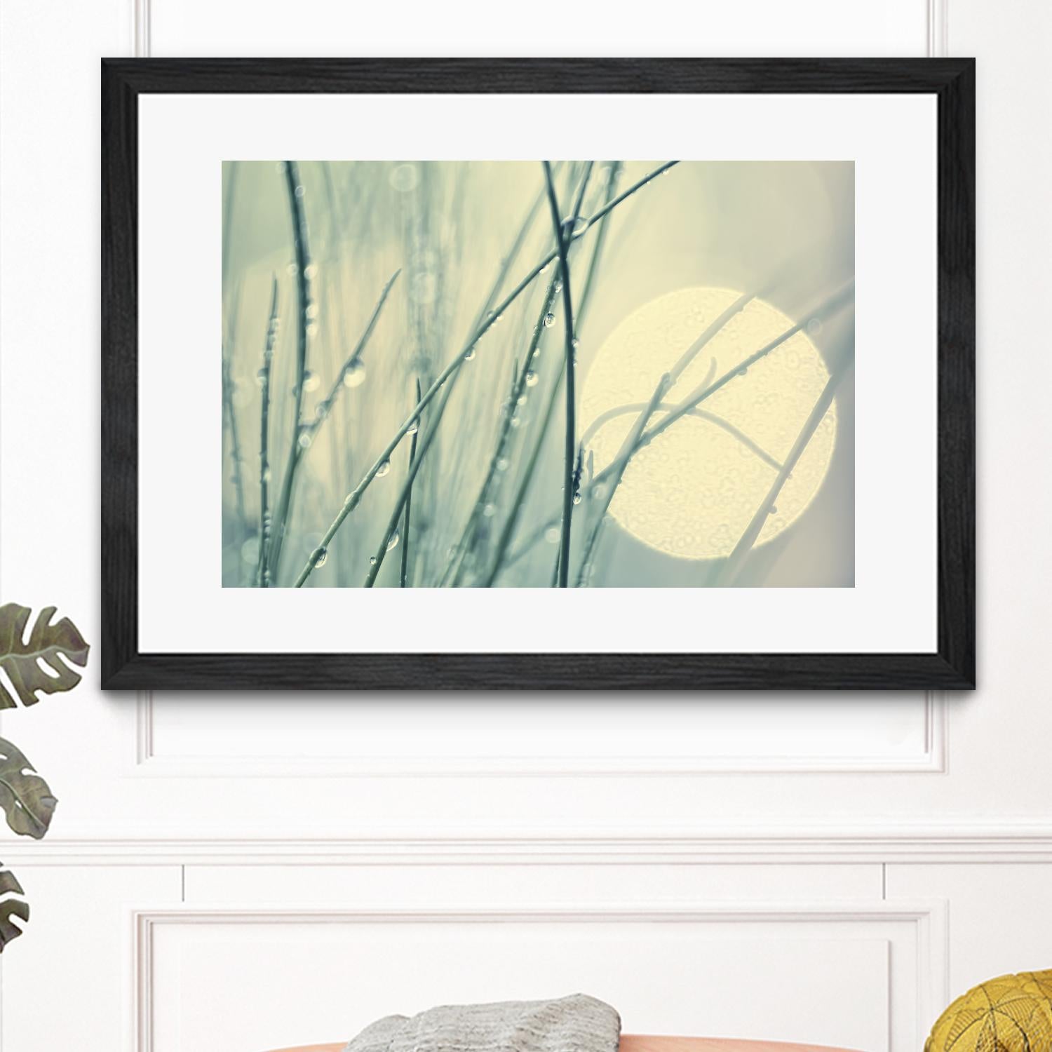 Morning Blues by Ingrid Beddoes on GIANT ART - beige photo art