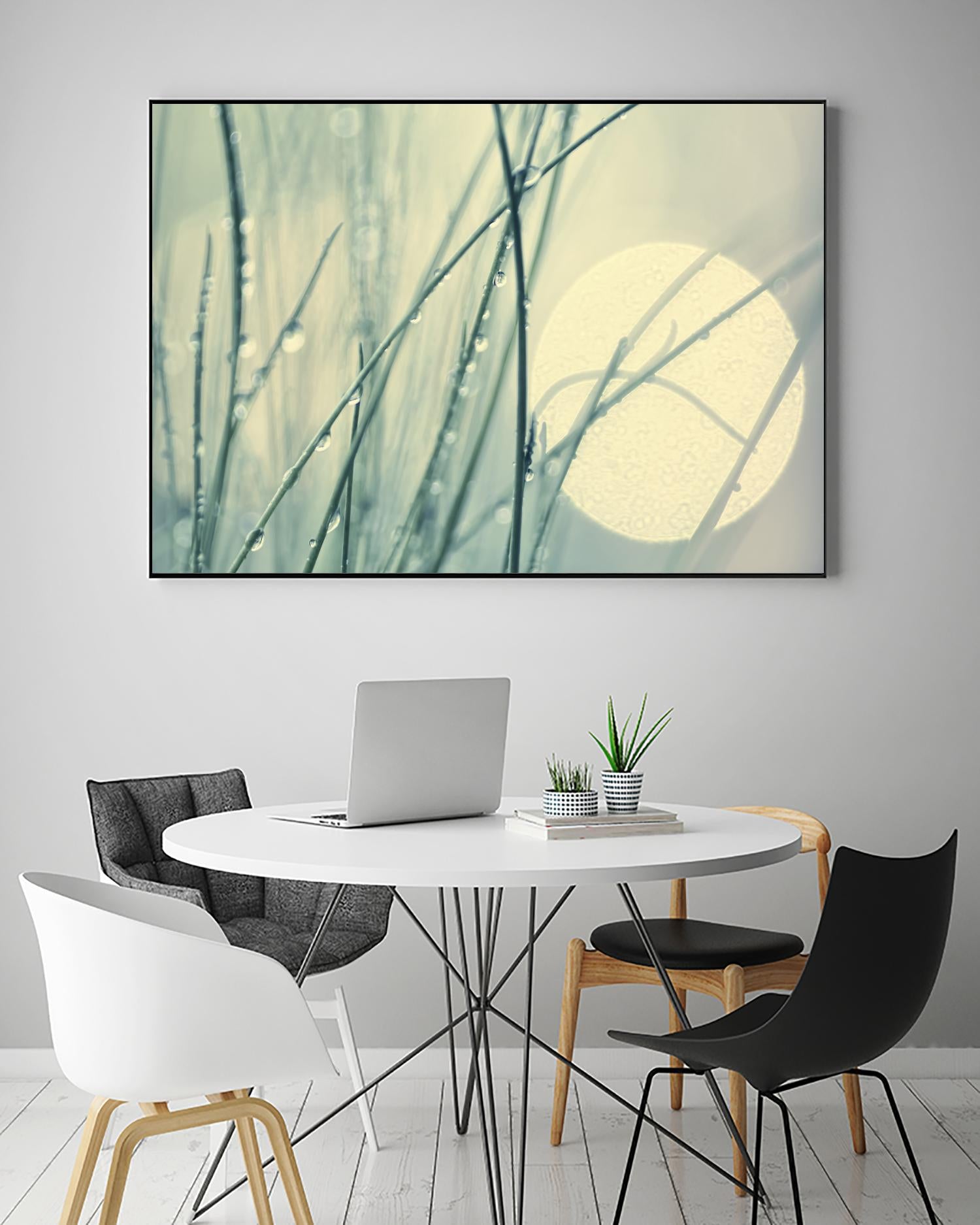 Morning Blues by Ingrid Beddoes on GIANT ART - beige photo art