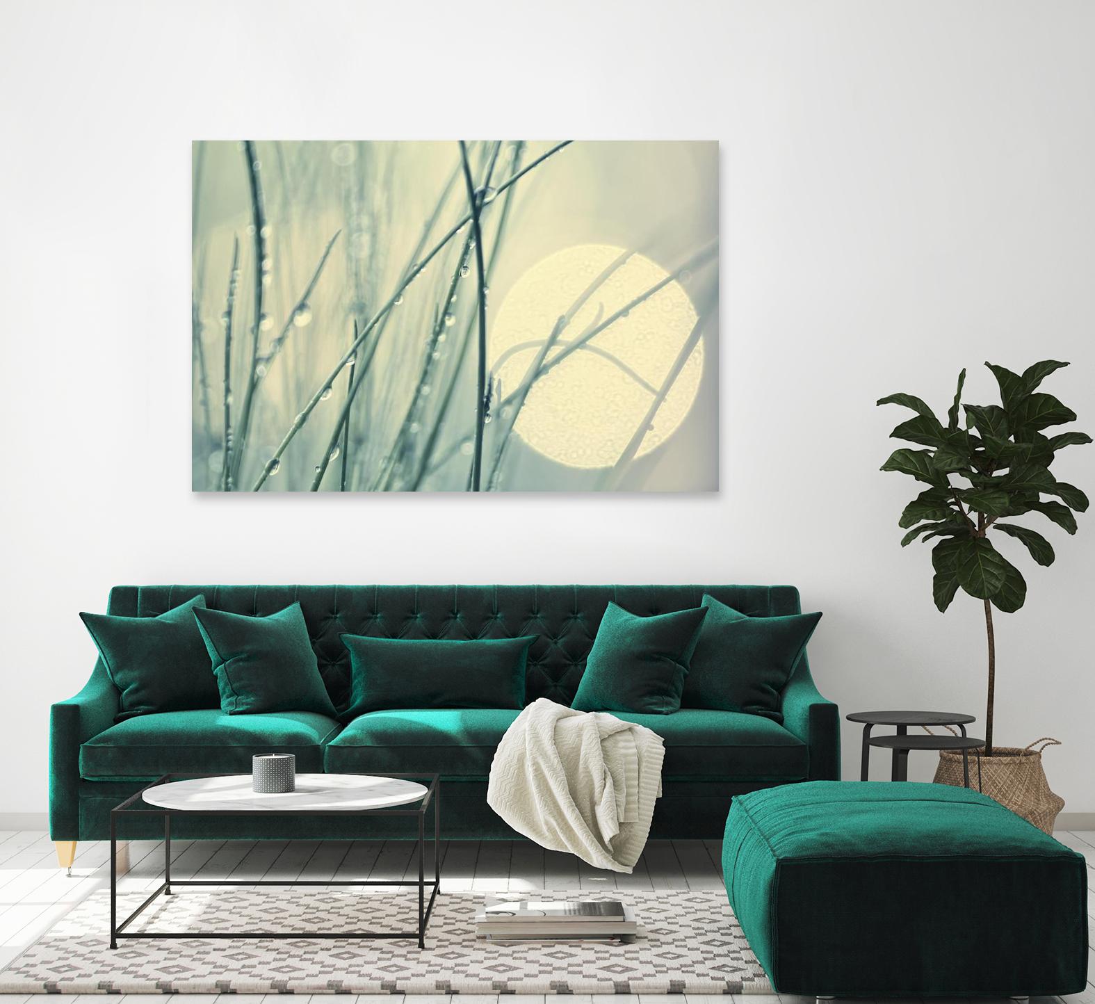 Morning Blues by Ingrid Beddoes on GIANT ART - beige photo art