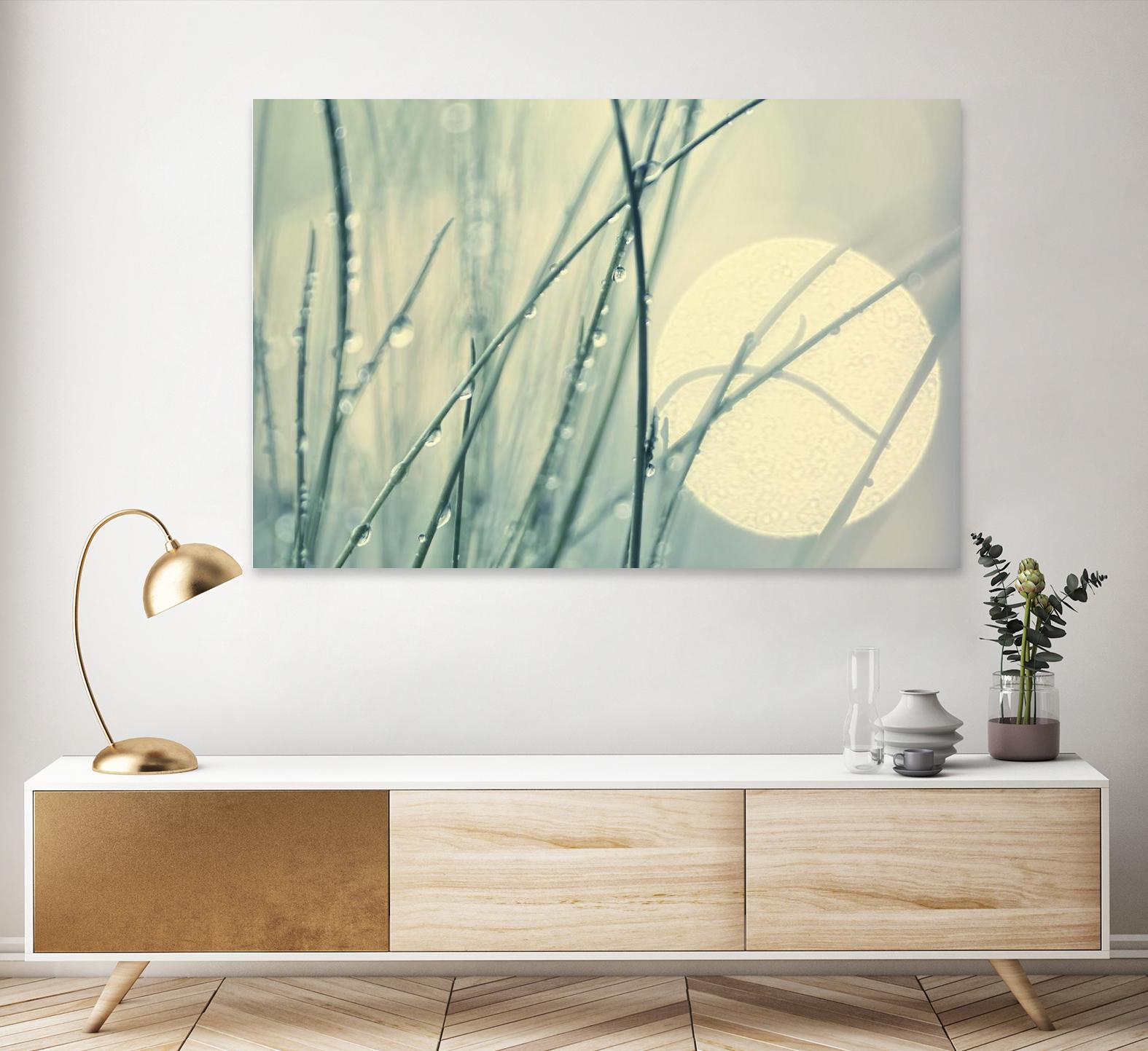 Morning Blues by Ingrid Beddoes on GIANT ART - beige photo art