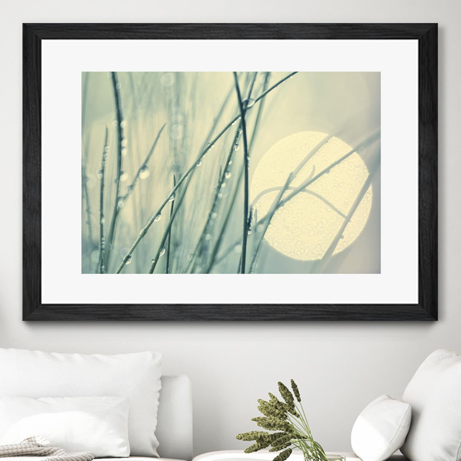 Morning Blues by Ingrid Beddoes on GIANT ART - beige photo art