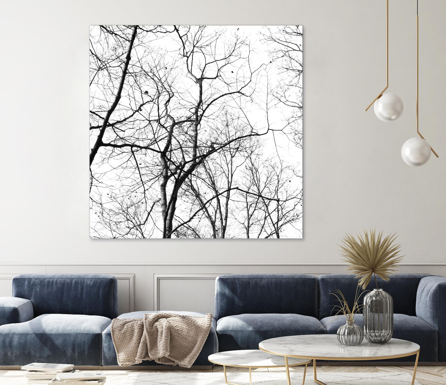 Billows I by Judy Stalus on GIANT ART - black trees