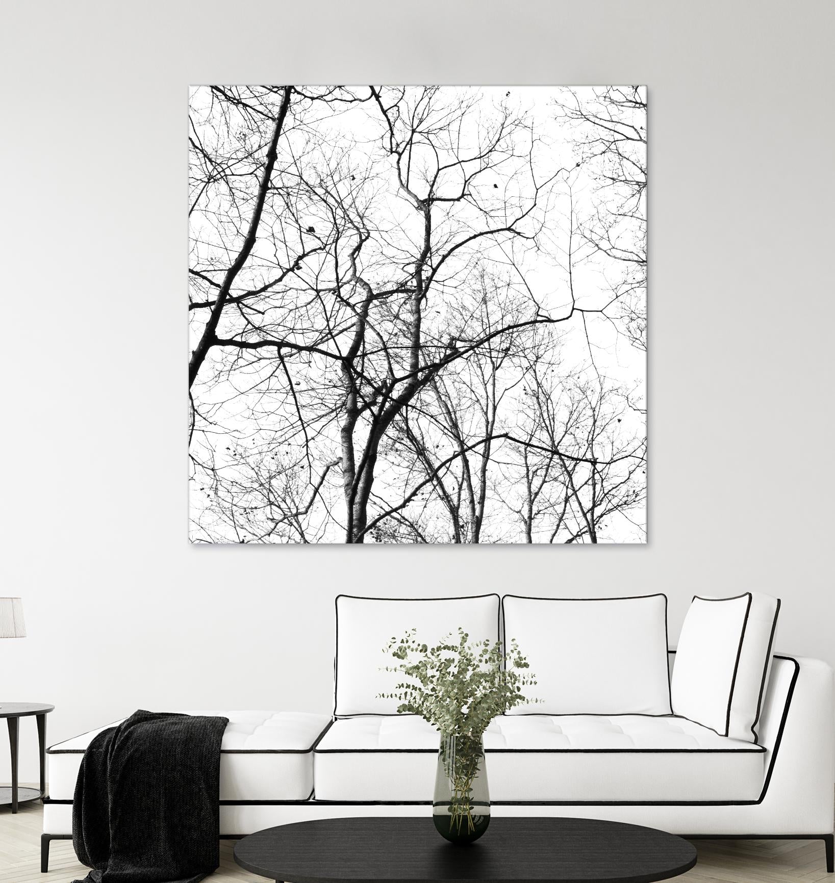Billows I by Judy Stalus on GIANT ART - black trees