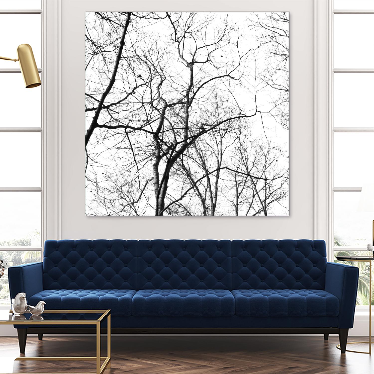 Billows I by Judy Stalus on GIANT ART - black trees