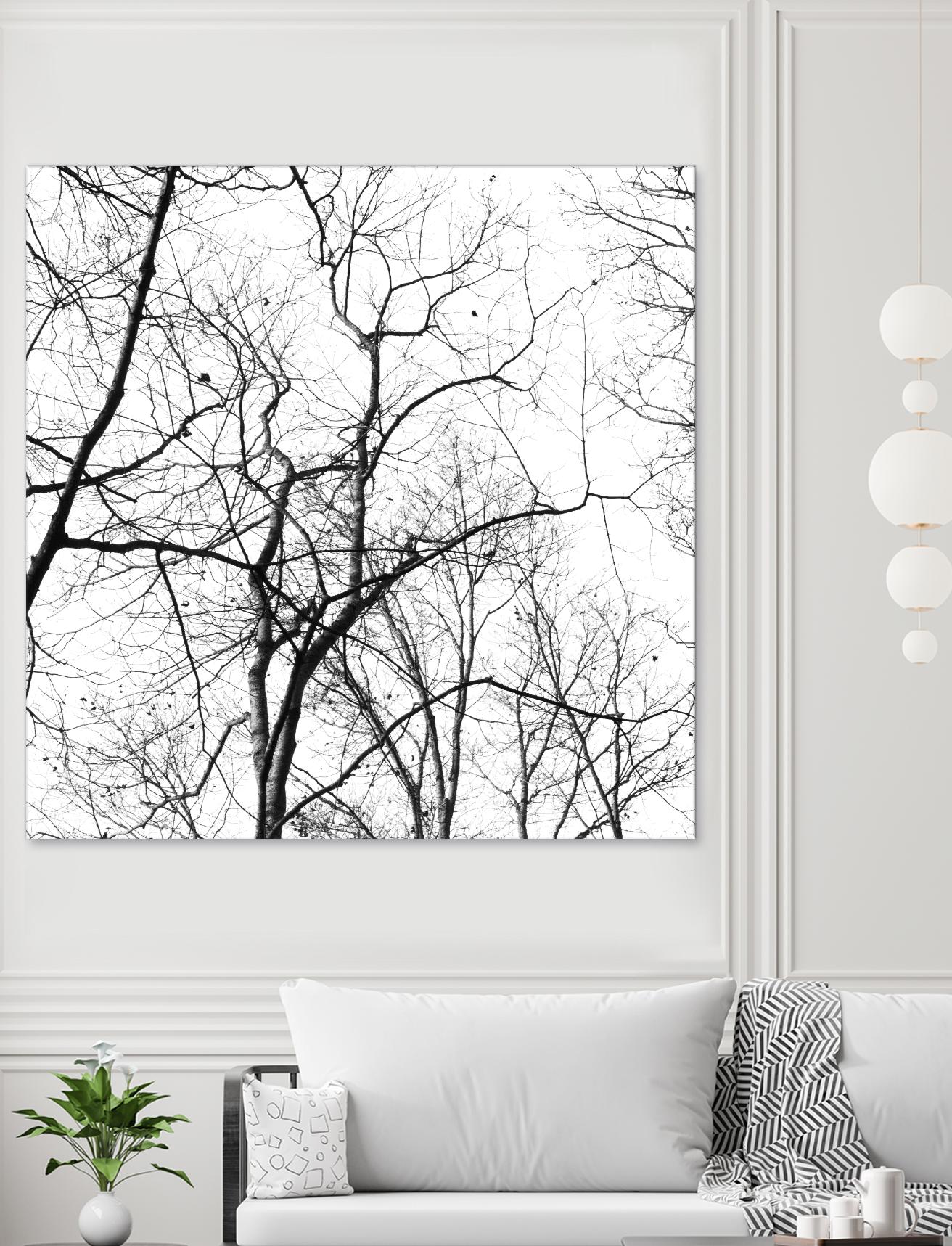 Billows I by Judy Stalus on GIANT ART - black trees