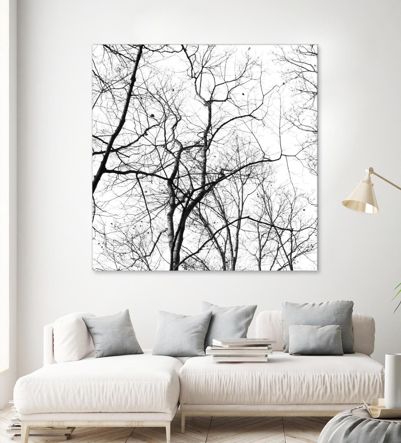 Billows I by Judy Stalus on GIANT ART - black trees