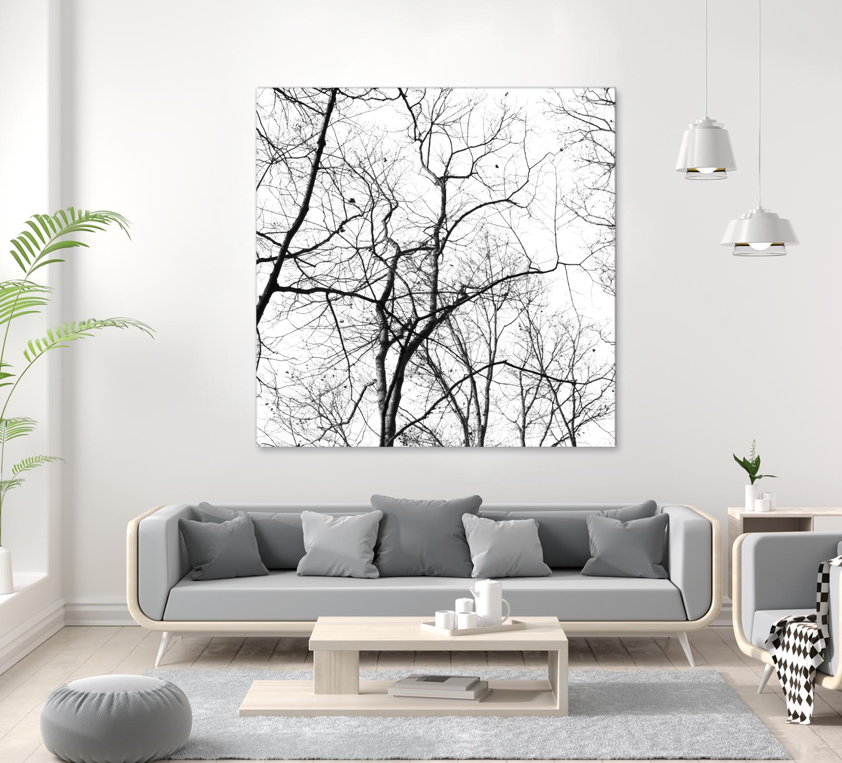 Billows I by Judy Stalus on GIANT ART - black trees