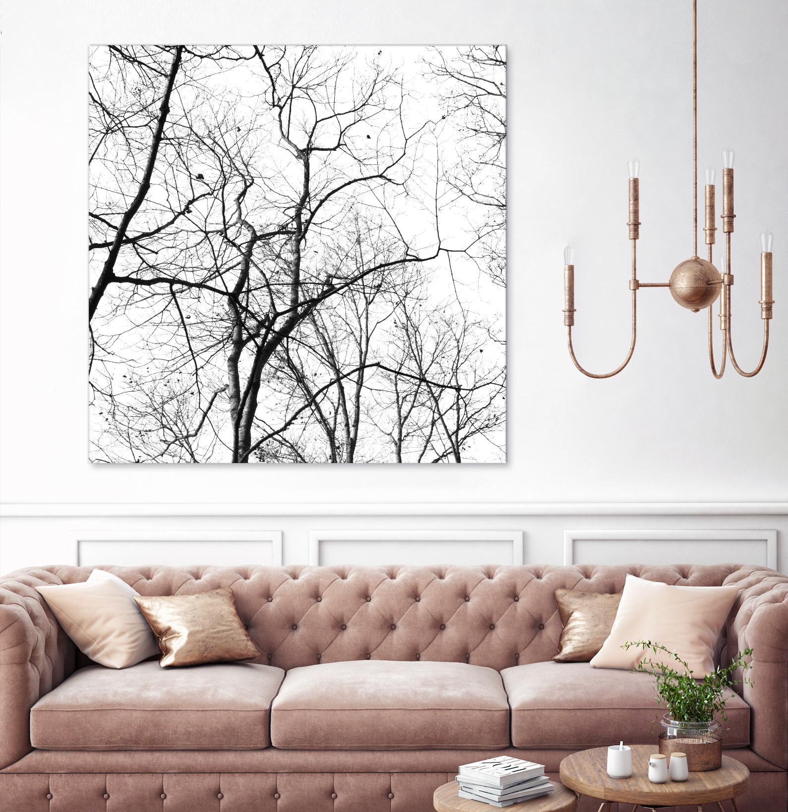 Billows I by Judy Stalus on GIANT ART - black trees