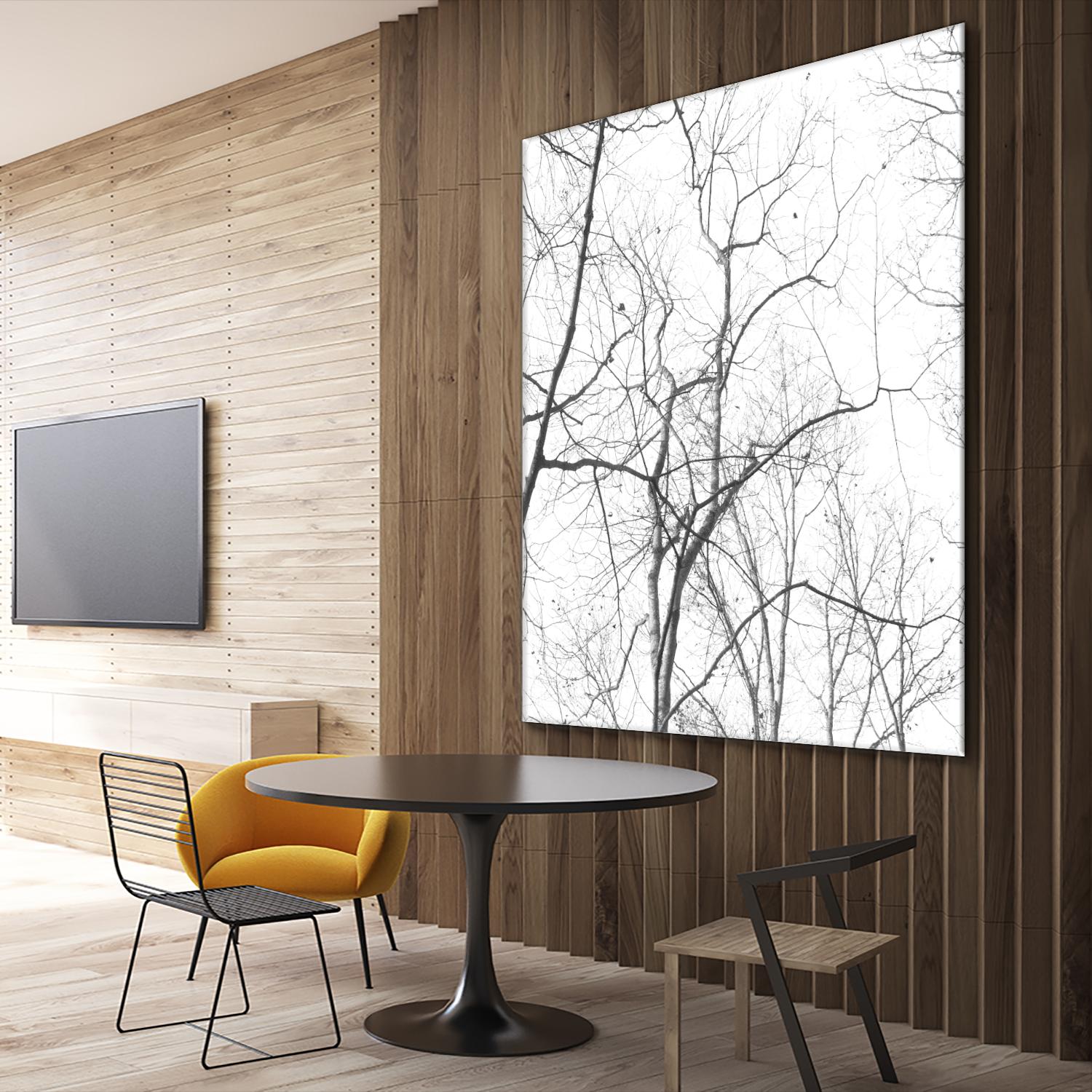 Billows I by Judy Stalus on GIANT ART - black trees