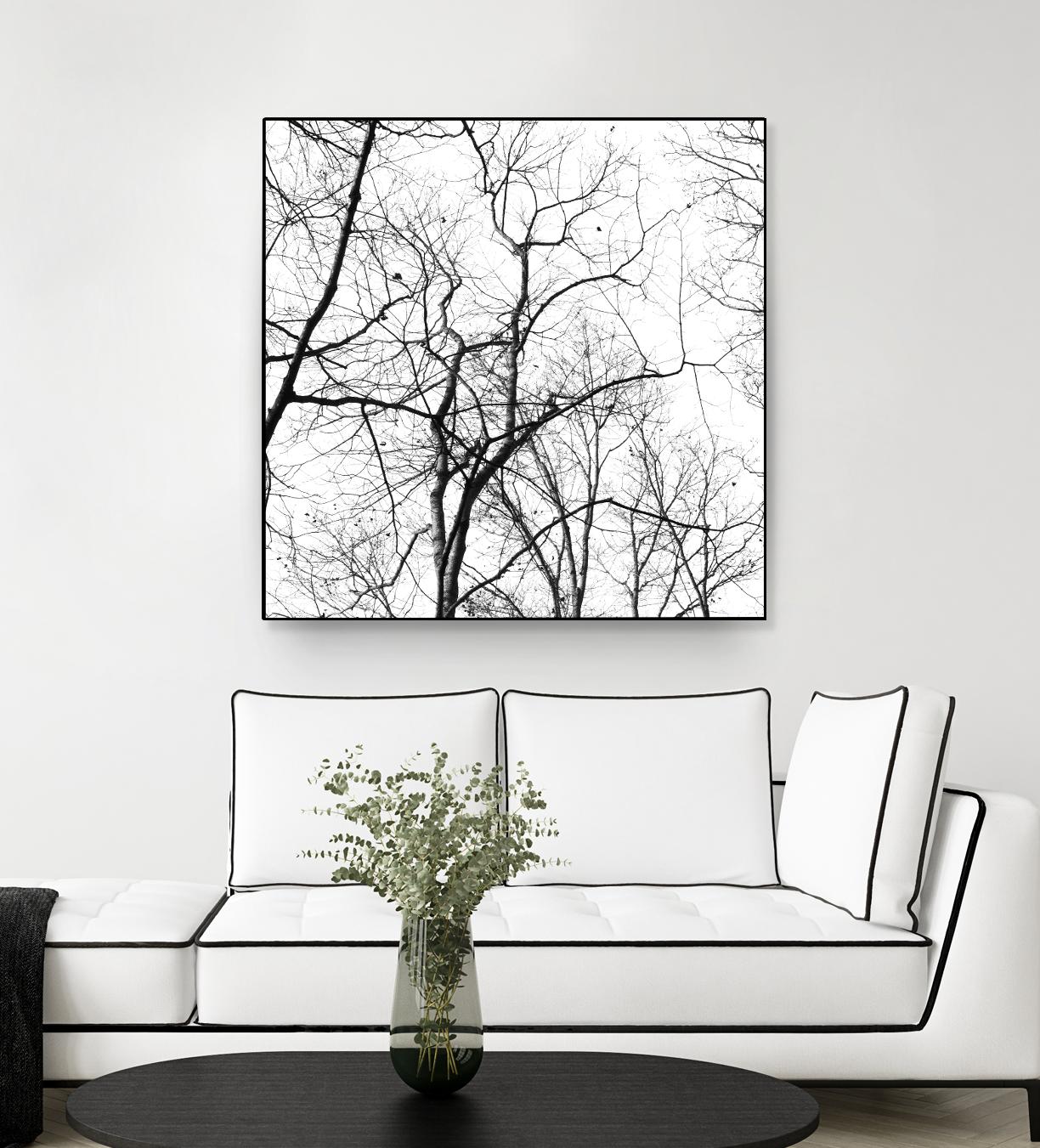 Billows I by Judy Stalus on GIANT ART - black trees
