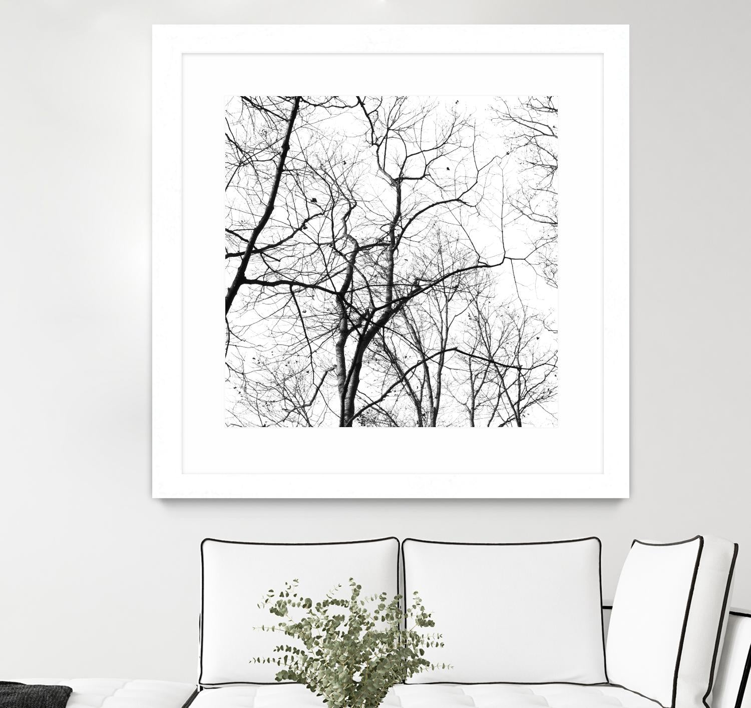 Billows I by Judy Stalus on GIANT ART - black trees