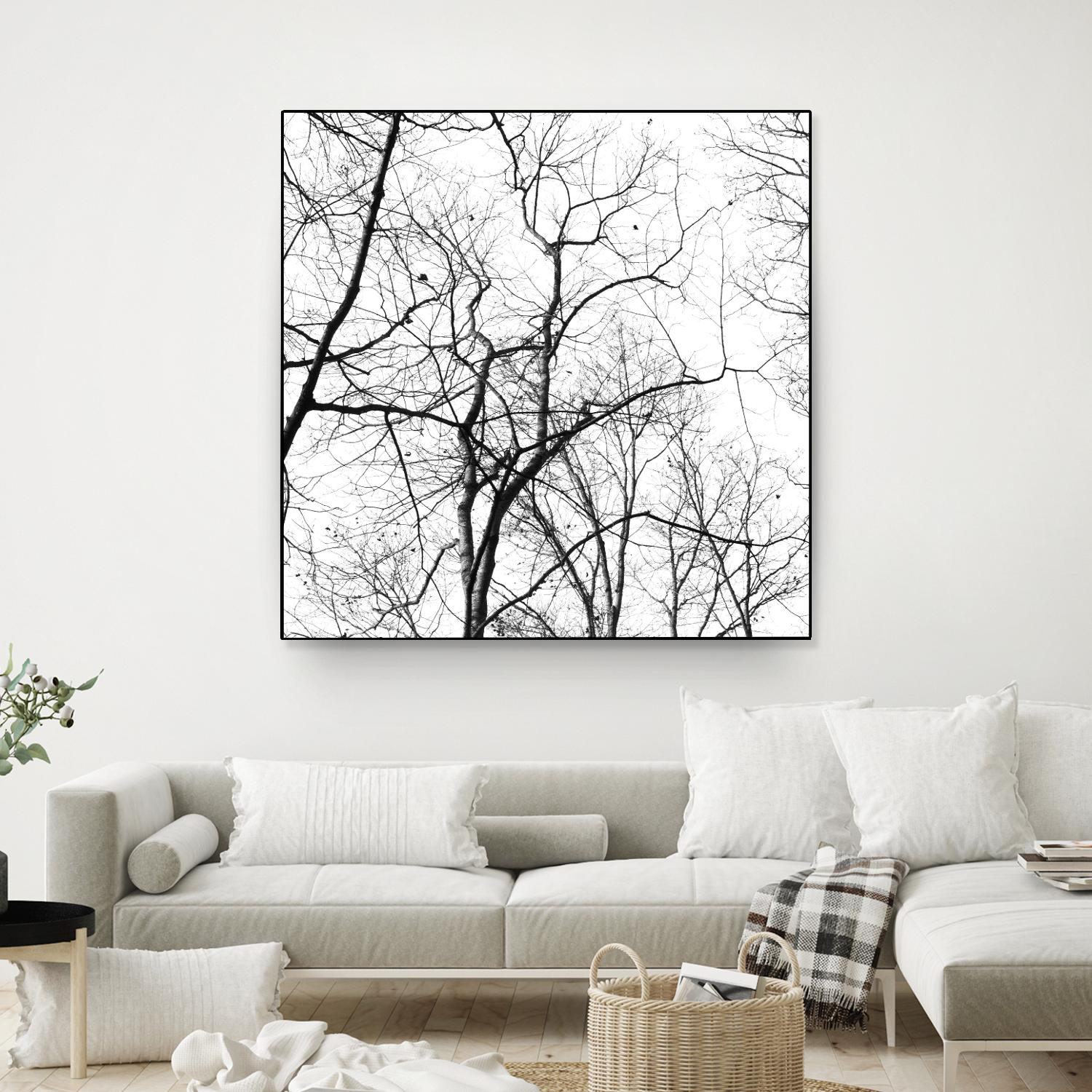 Billows I by Judy Stalus on GIANT ART - black trees