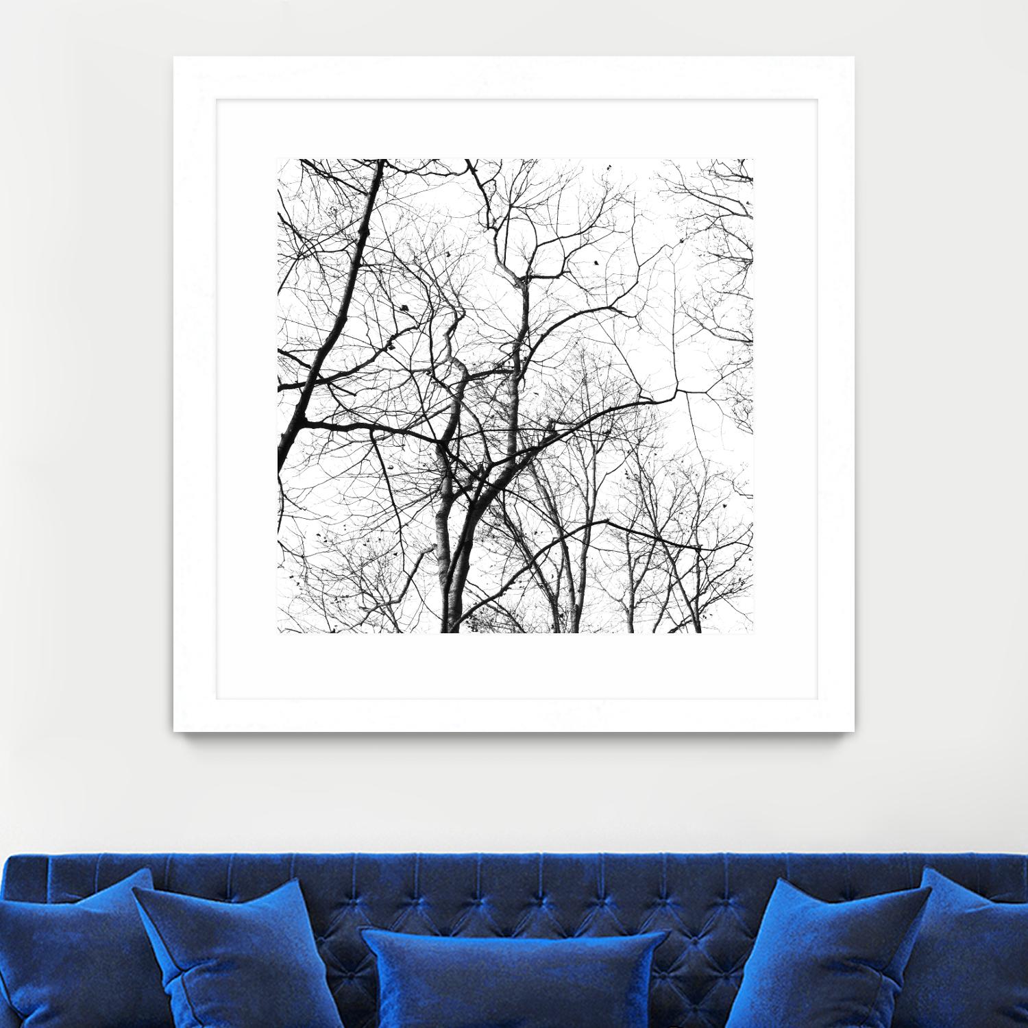 Billows I by Judy Stalus on GIANT ART - black trees