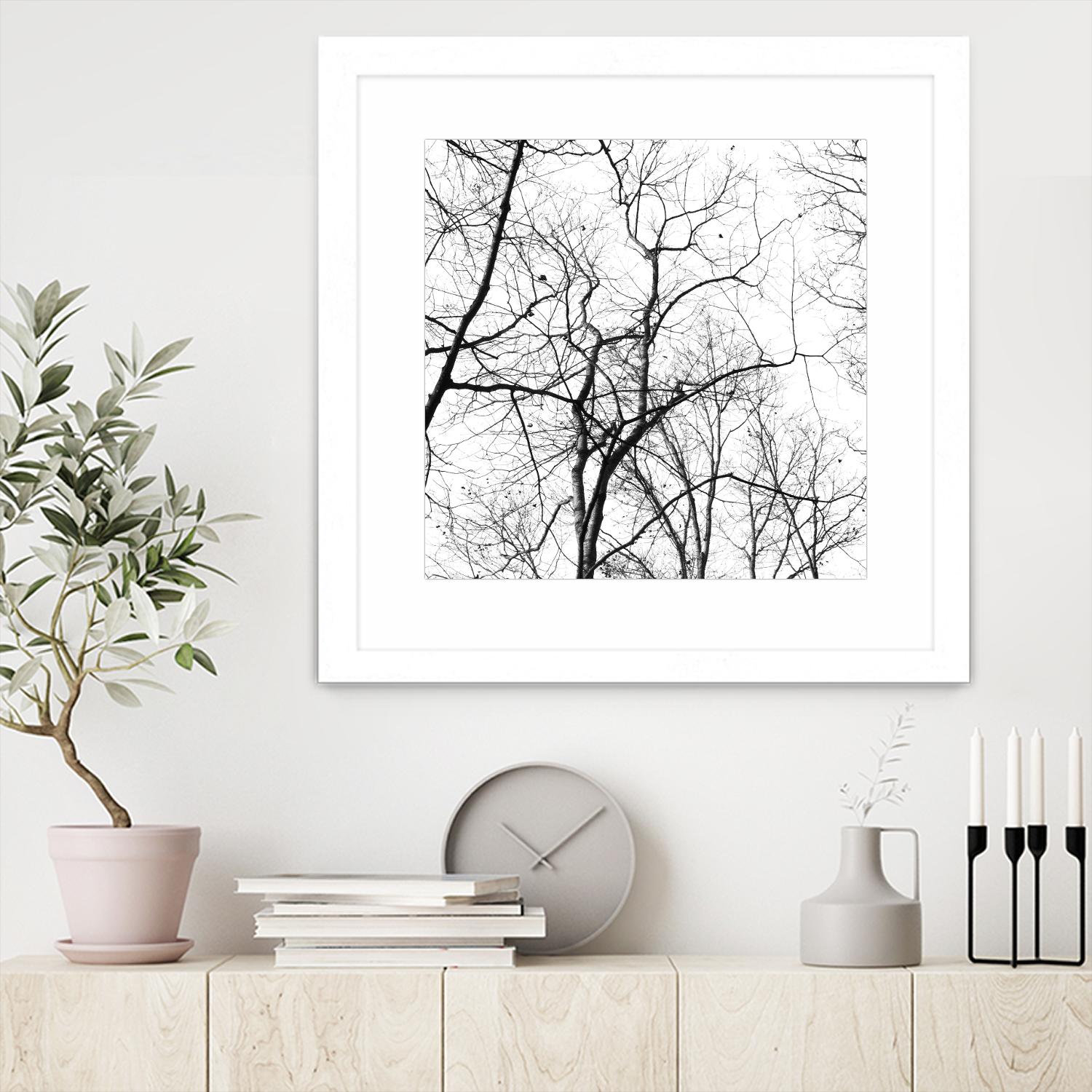 Billows I by Judy Stalus on GIANT ART - black trees