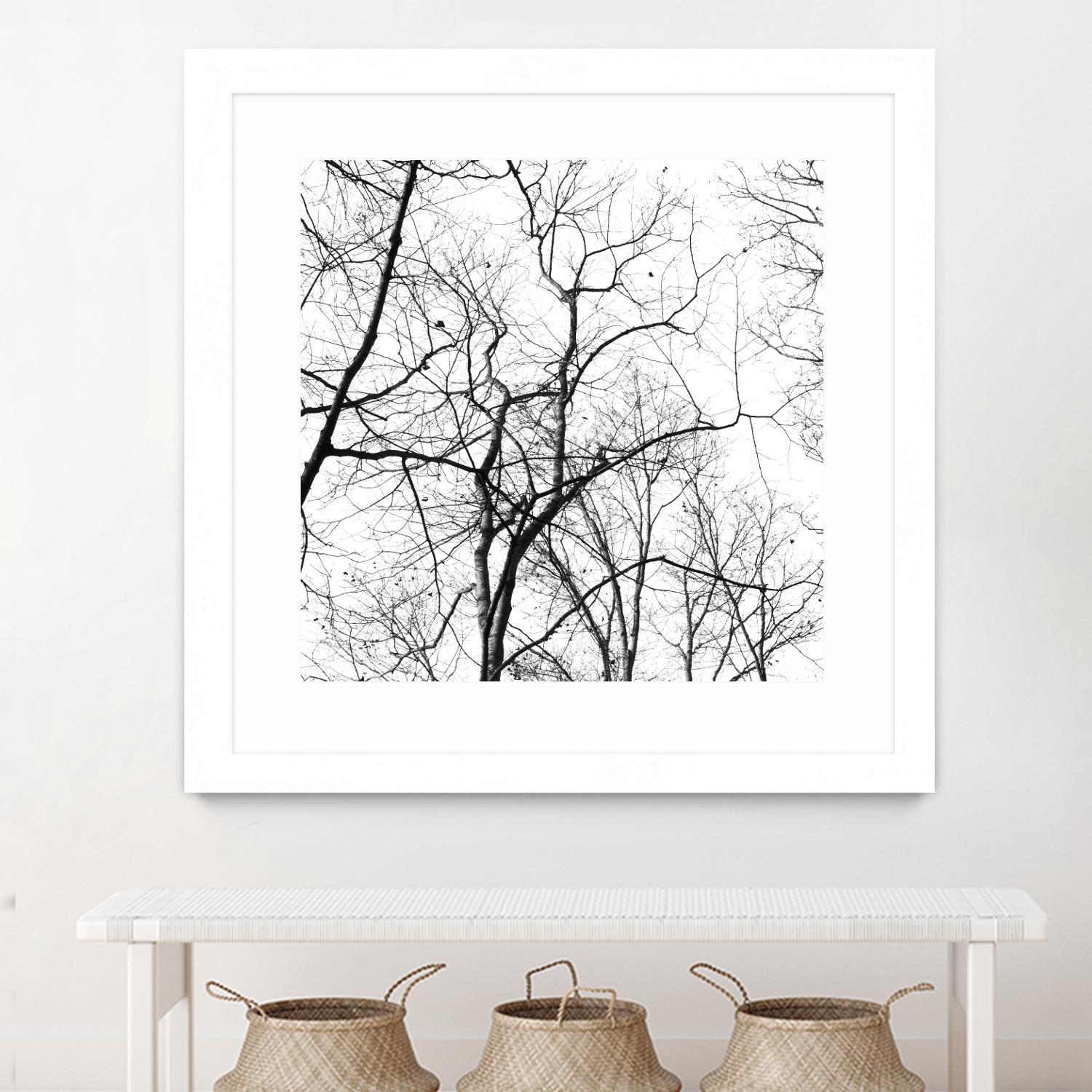 Billows I by Judy Stalus on GIANT ART - black trees