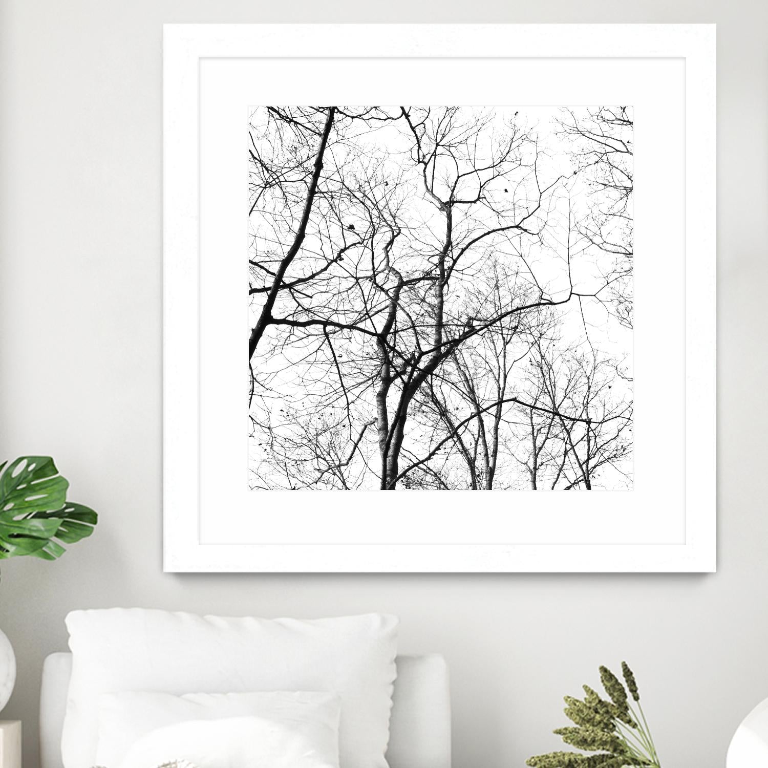 Billows I by Judy Stalus on GIANT ART - black trees