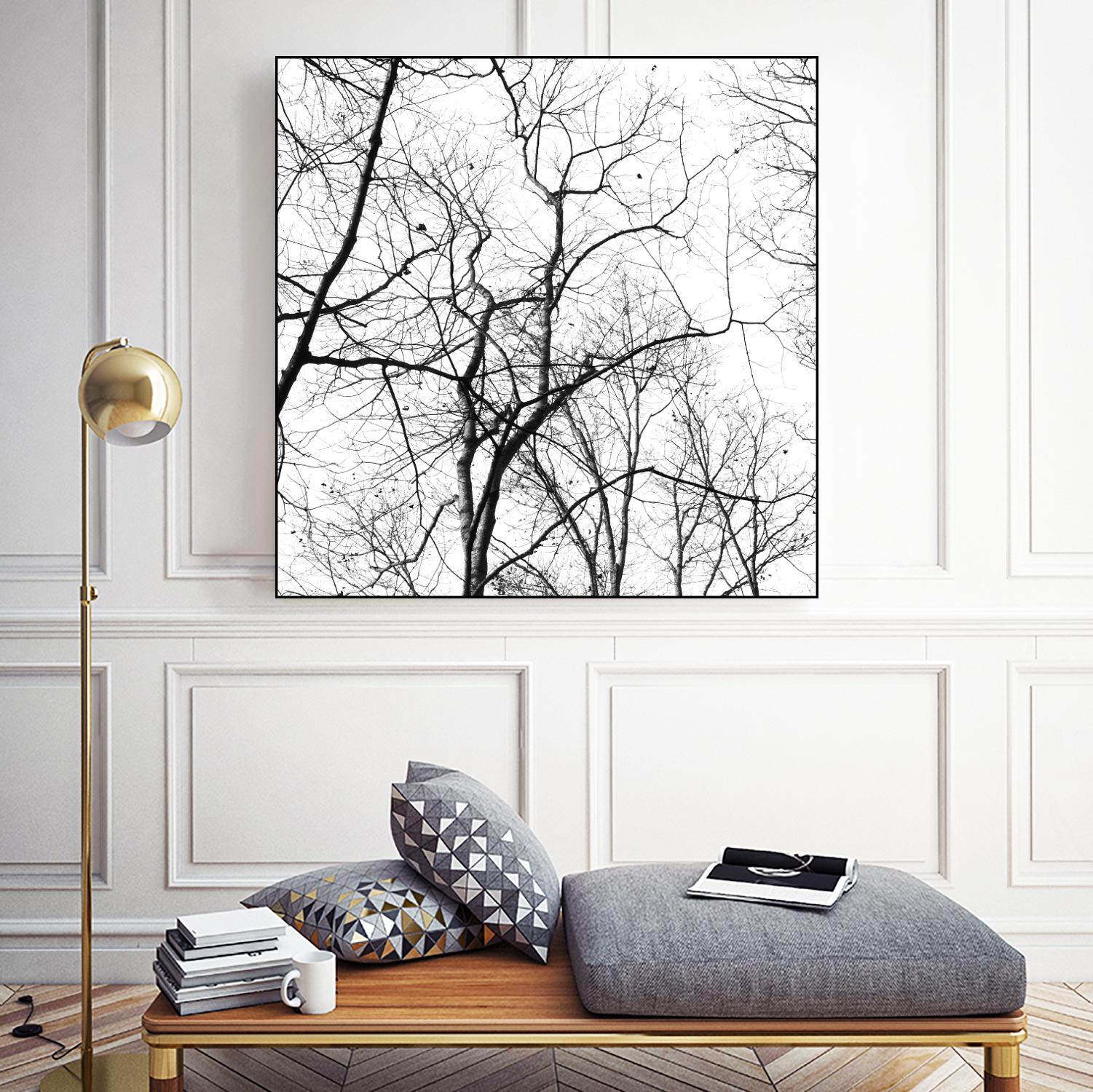 Billows I by Judy Stalus on GIANT ART - black trees