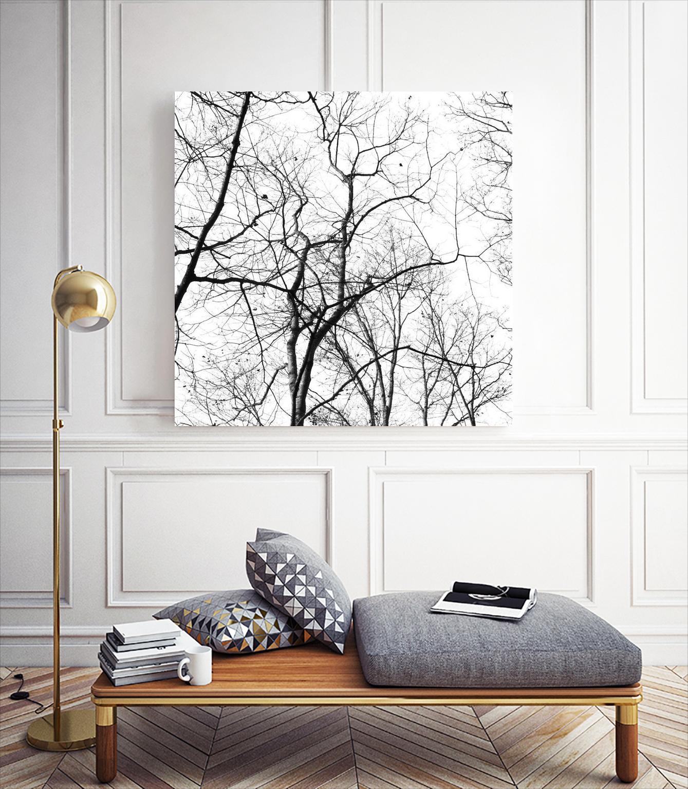 Billows I by Judy Stalus on GIANT ART - black trees