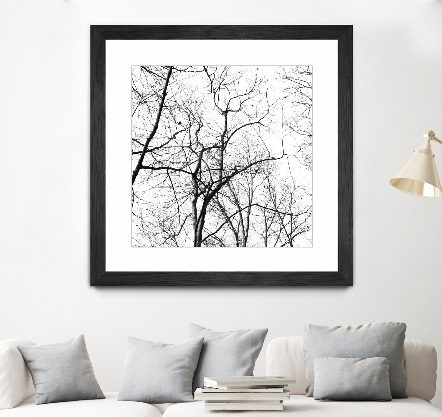 Billows I by Judy Stalus on GIANT ART - black trees