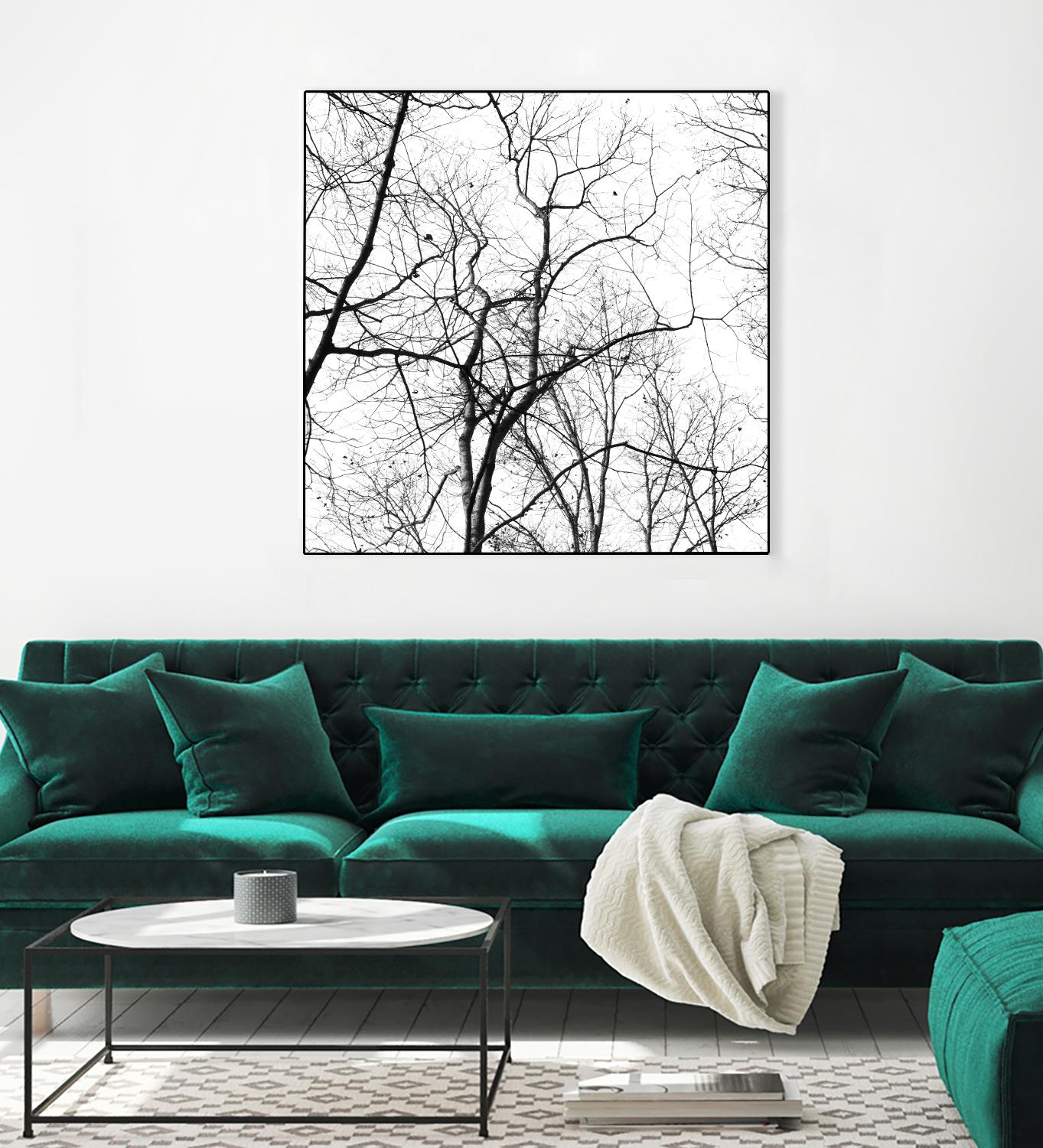 Billows I by Judy Stalus on GIANT ART - black trees