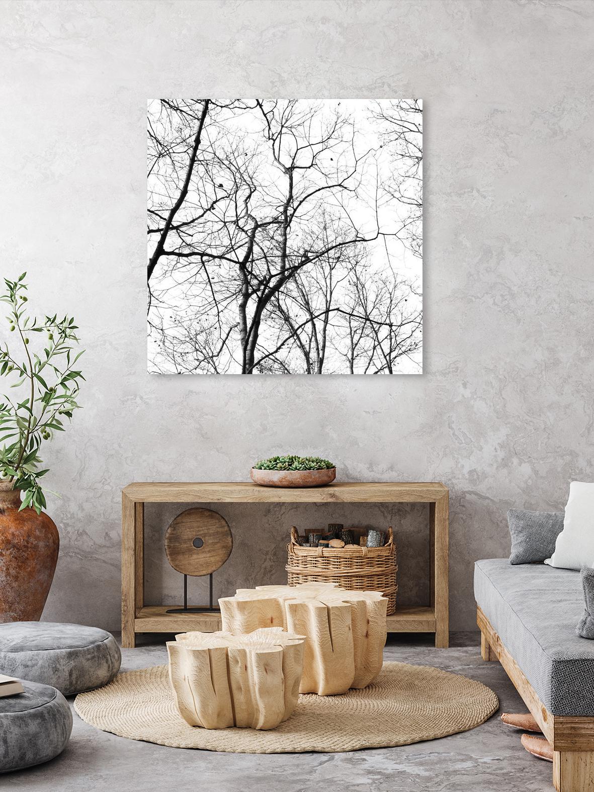 Billows I by Judy Stalus on GIANT ART - black trees