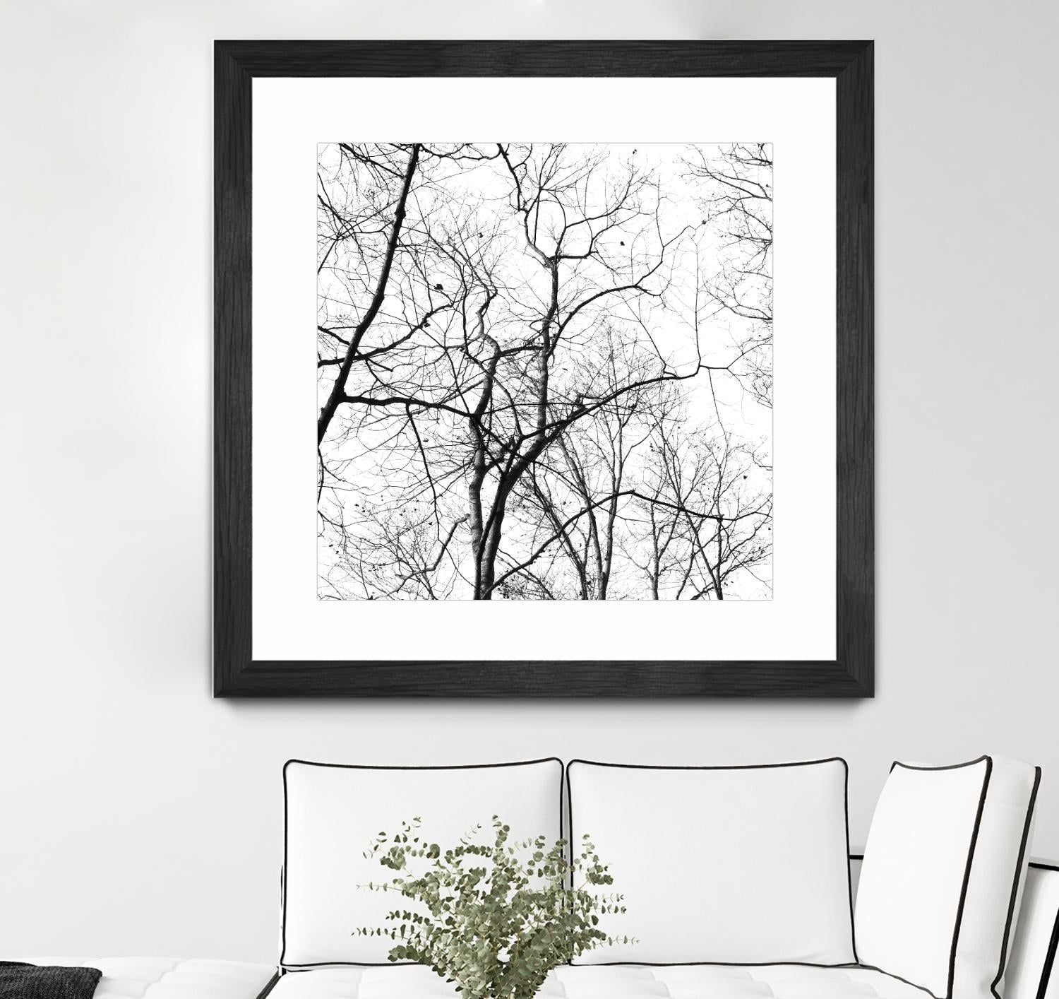 Billows I by Judy Stalus on GIANT ART - black trees