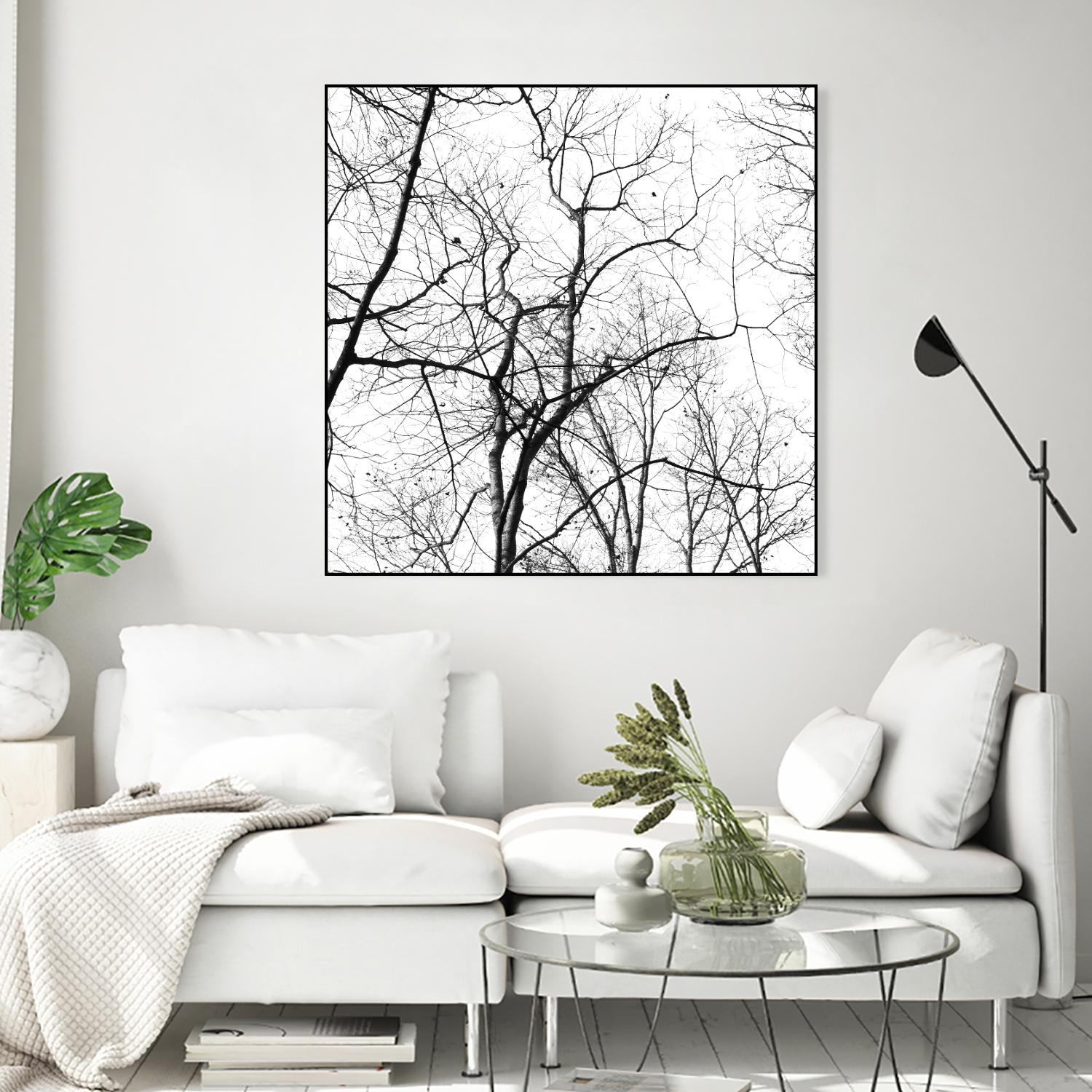 Billows I by Judy Stalus on GIANT ART - black trees